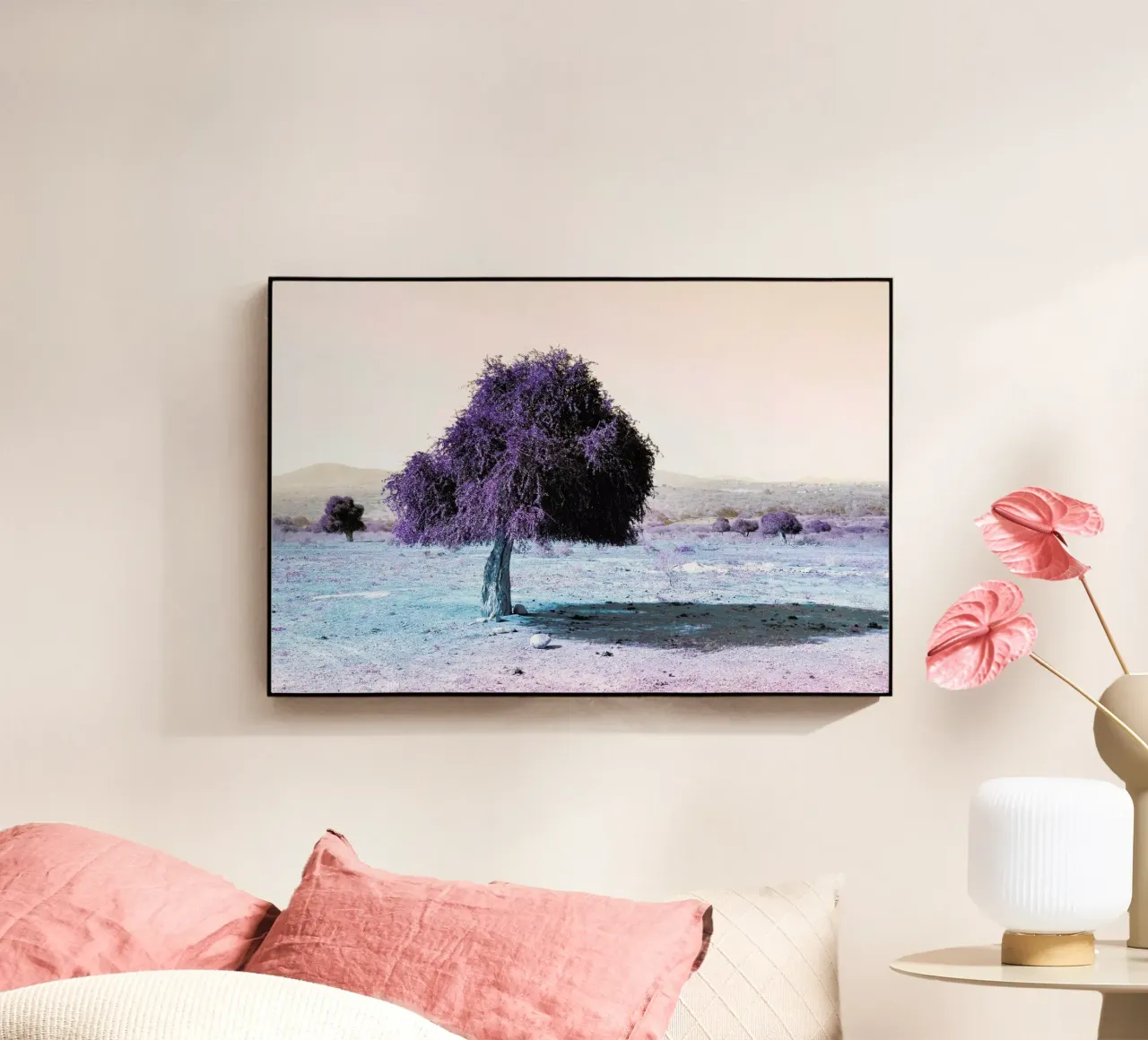 Zumaville plexiglass da Shot By Clint