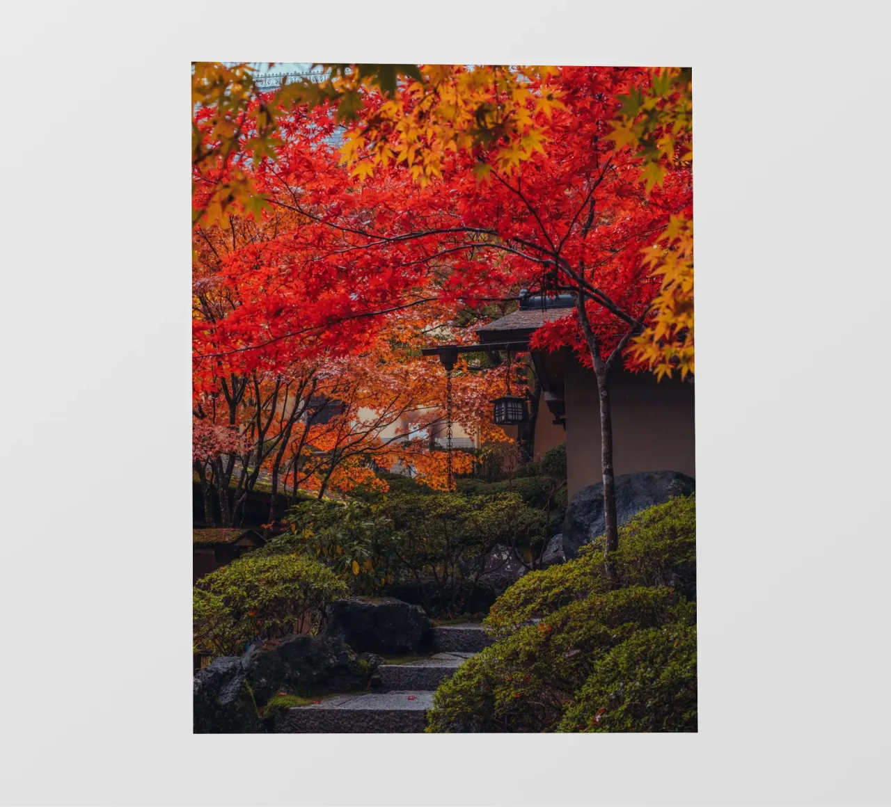 Giardino giapponese in autunno telo in pvc da Marcel Bisig