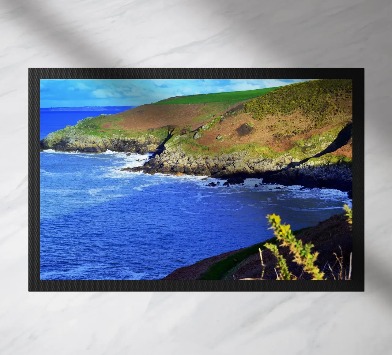 FAA154 zerbino da Thierry vobmann photography