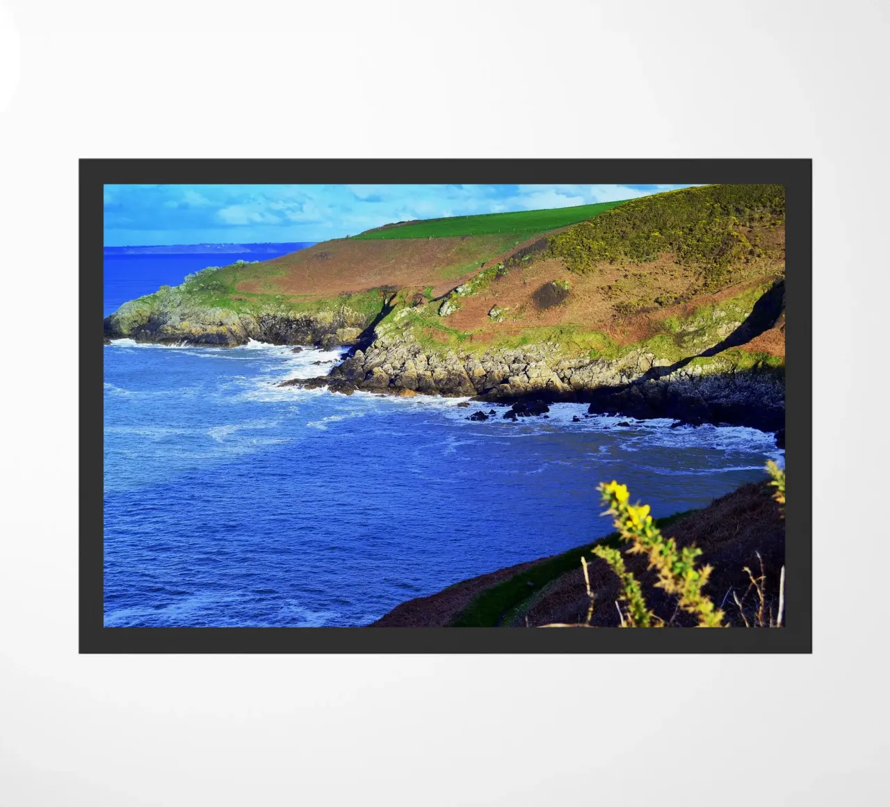 FAA154 zerbino da Thierry vobmann photography