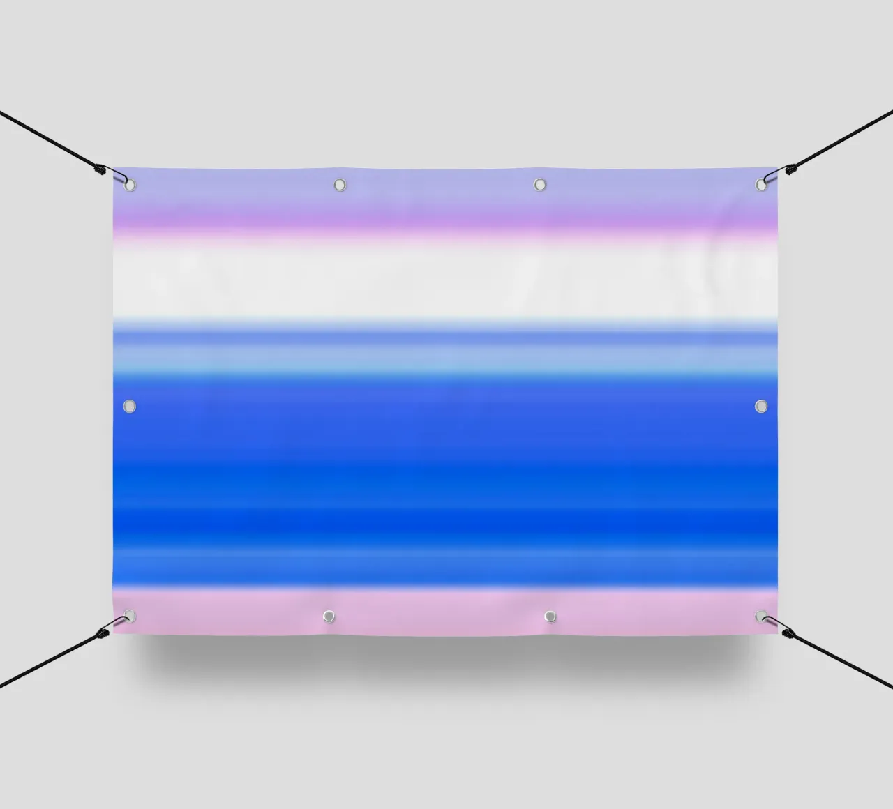 linee immersive #1 telo in pvc da rafael campezato