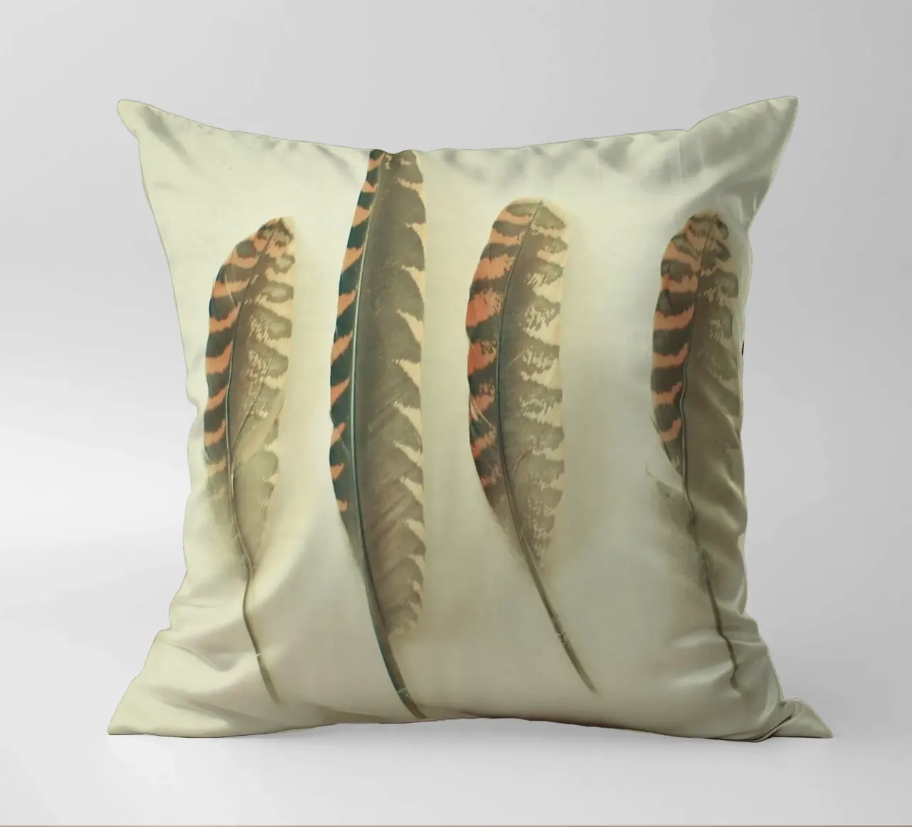 Piume #2 cuscino da Cassia Beck Photography