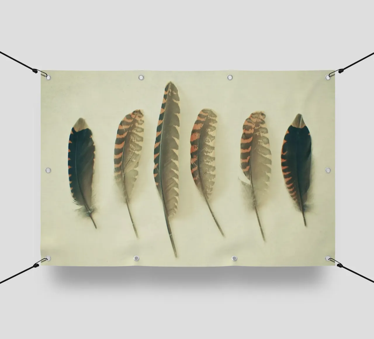 Piume #2 telo in pvc da Cassia Beck Photography