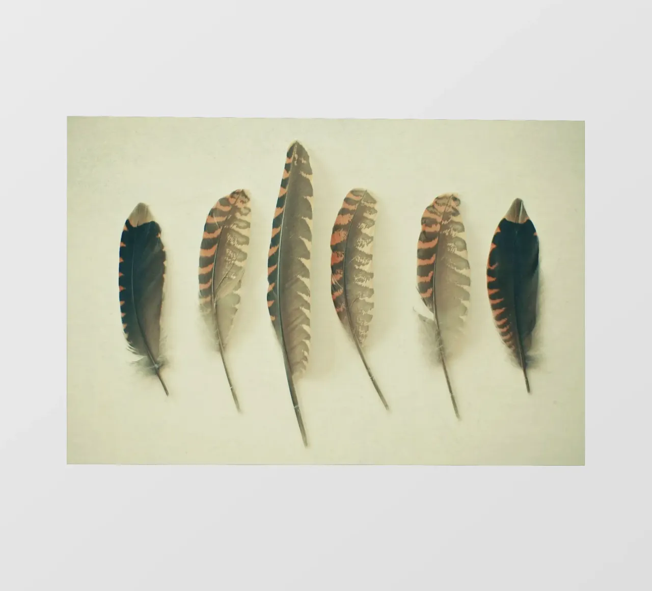 Piume #2 telo in pvc da Cassia Beck Photography