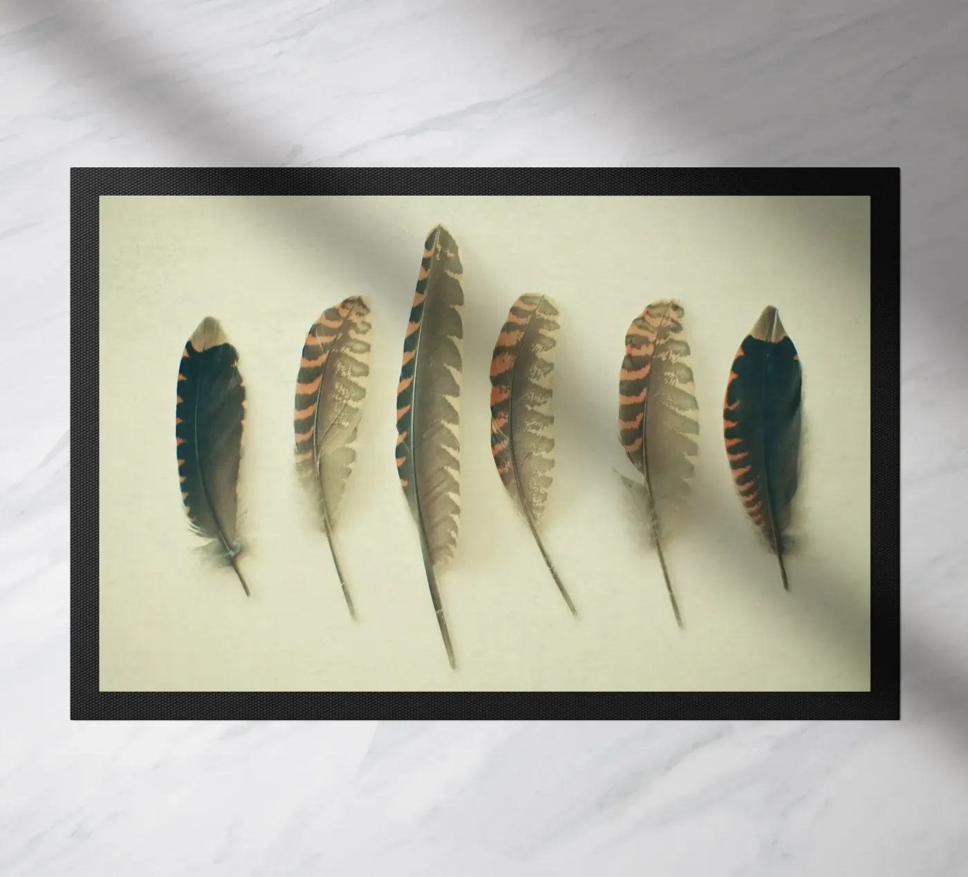 Piume #2 zerbino da Cassia Beck Photography