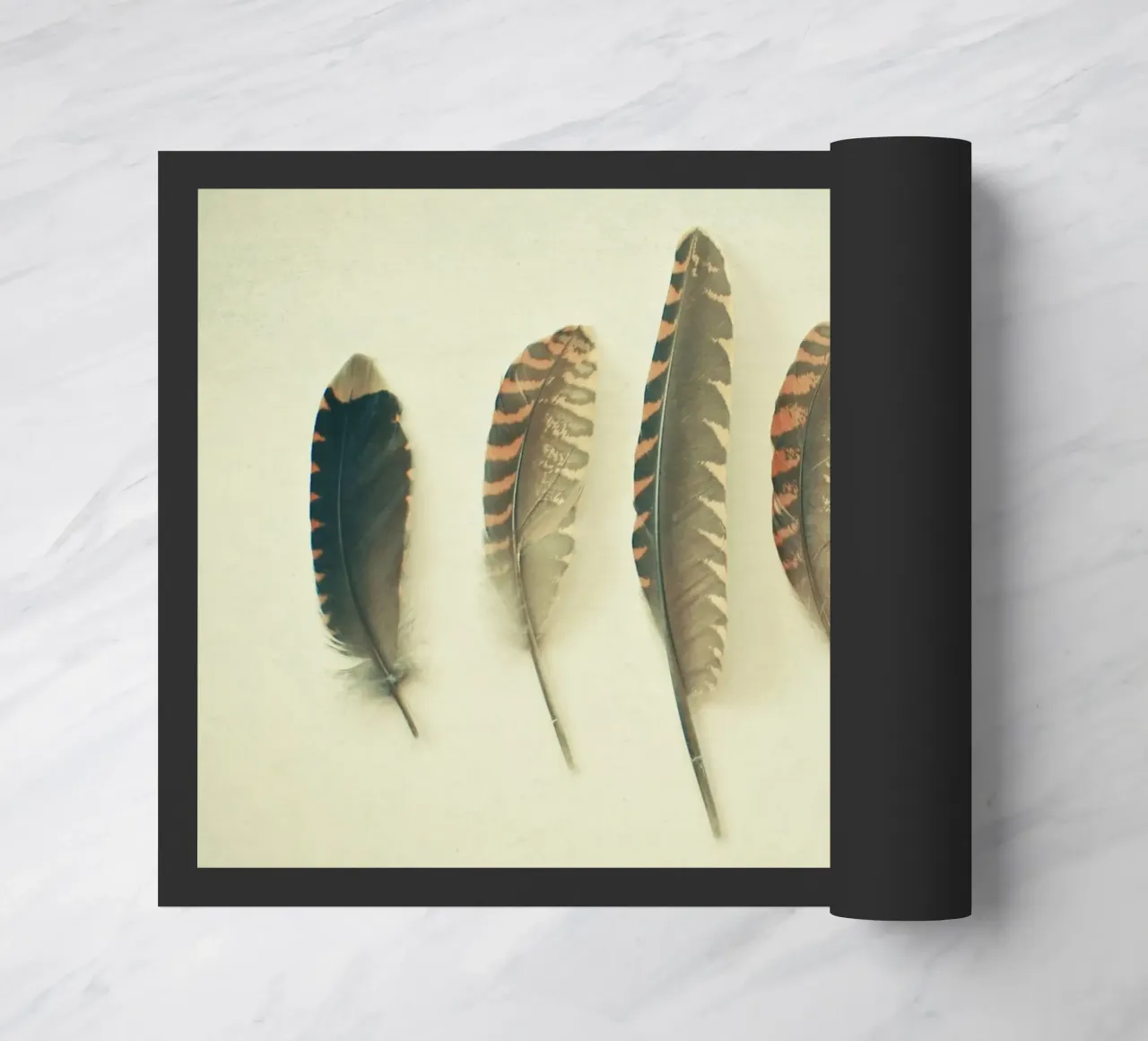 Piume #2 zerbino da Cassia Beck Photography