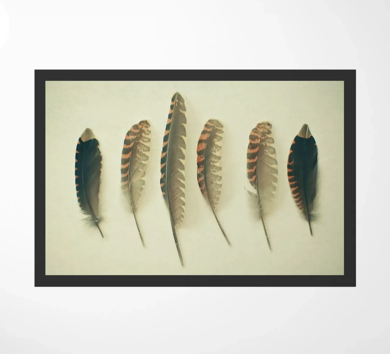 Piume #2 zerbino da Cassia Beck Photography