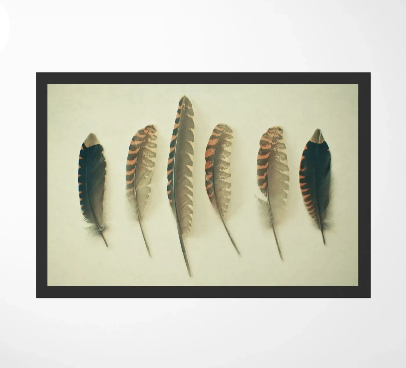 Piume #2 zerbino da Cassia Beck Photography