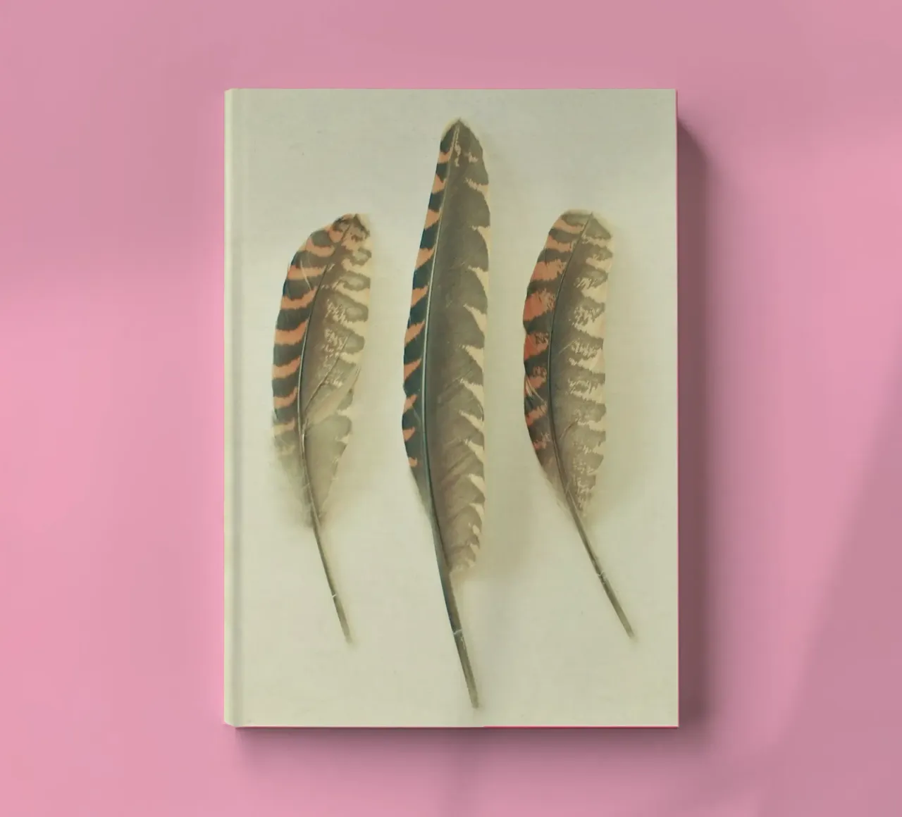 Feathers #2 notebook by Cassia Beck Photography