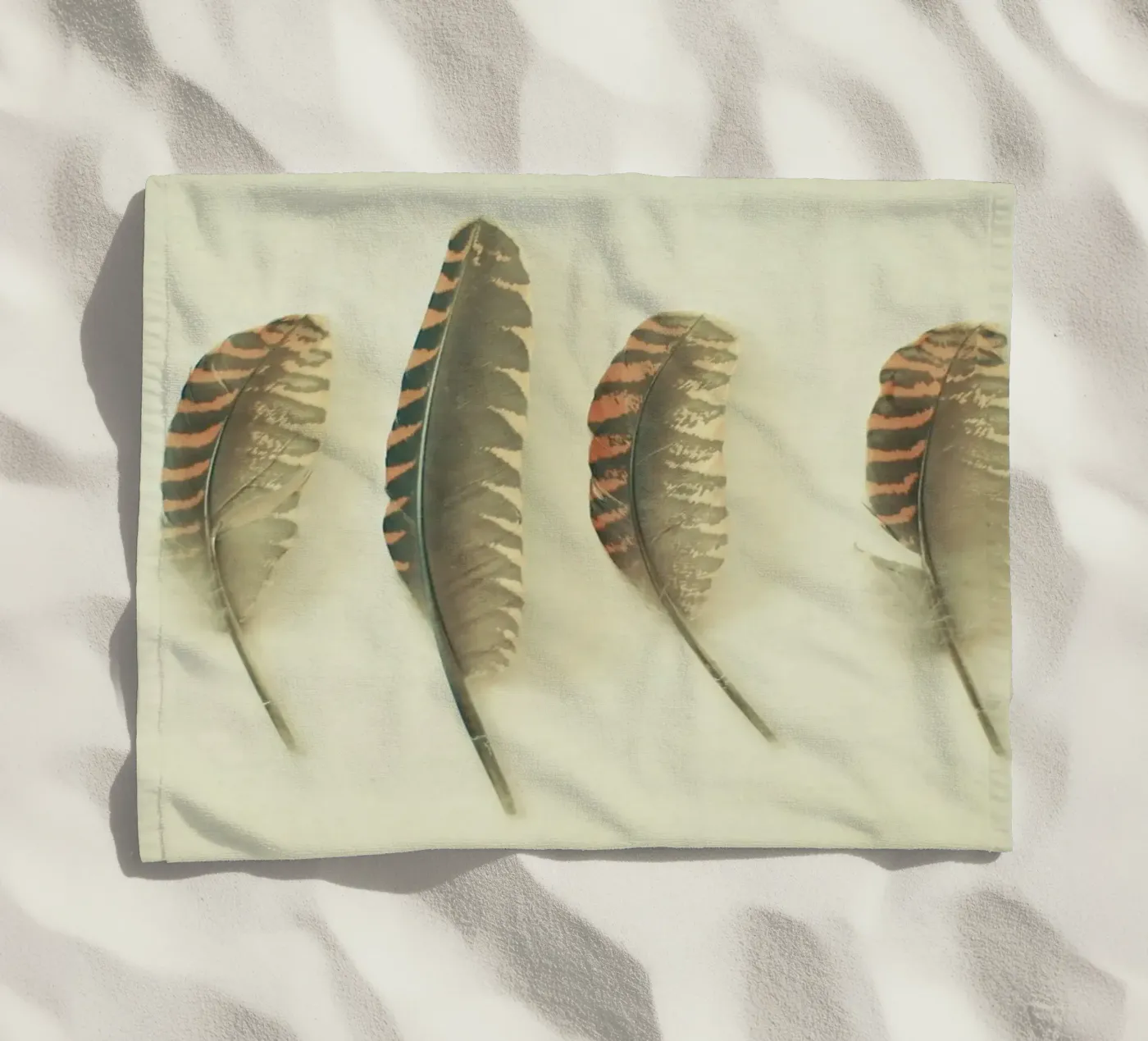 Feathers #2 telo mare da Cassia Beck Photography