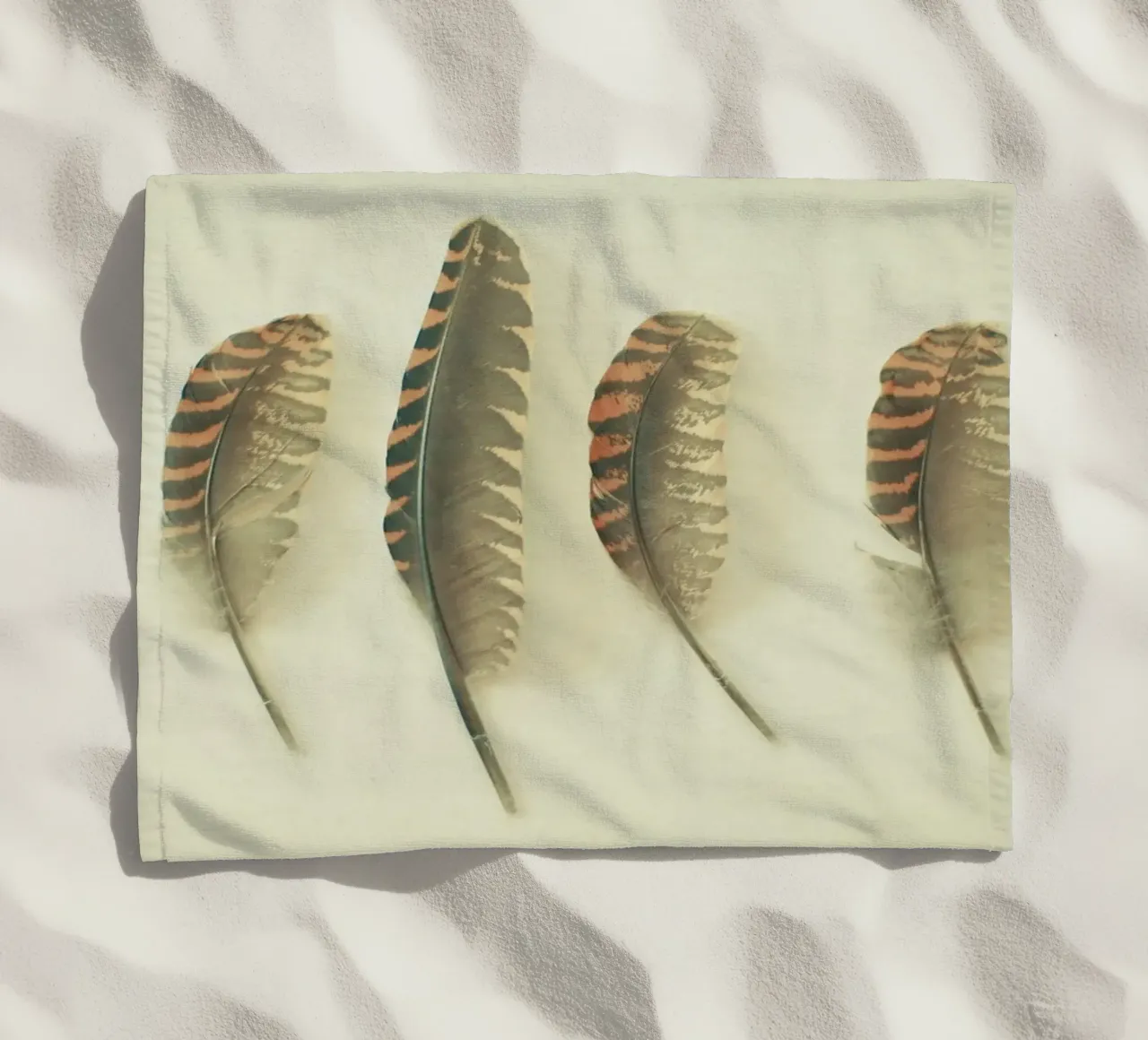 Piume #2 telo mare da Cassia Beck Photography