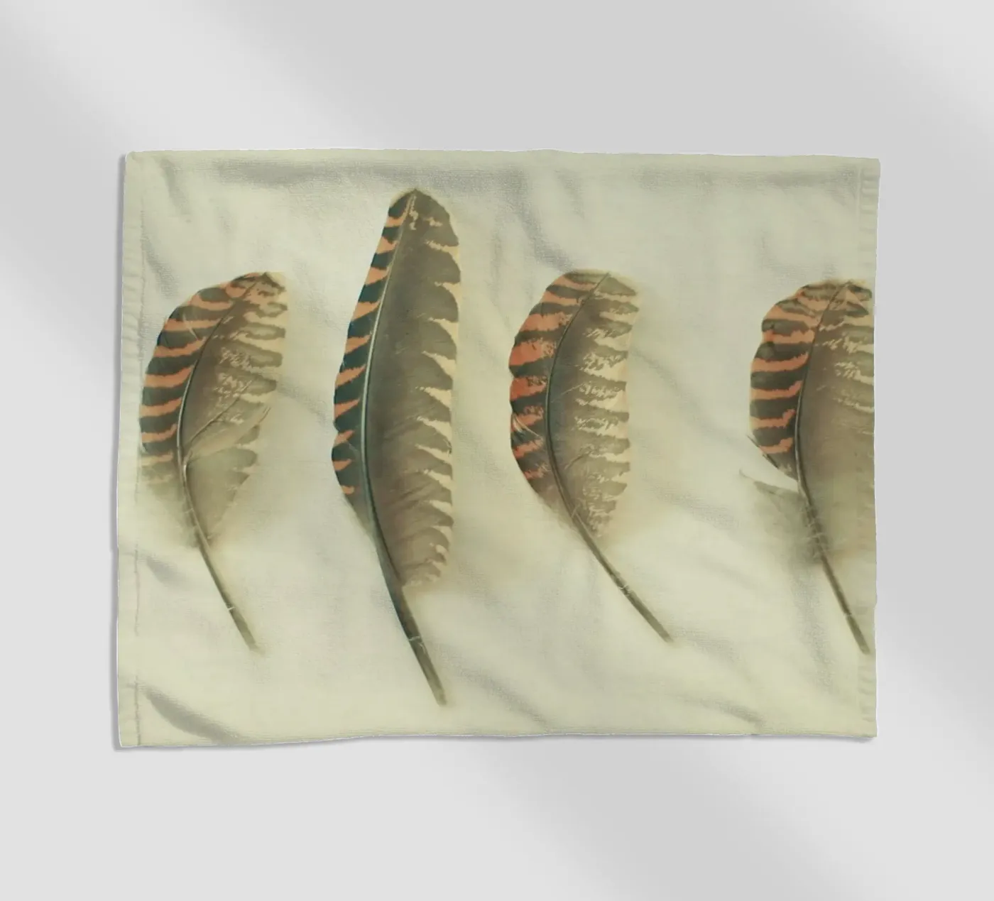 Feathers #2 telo mare da Cassia Beck Photography