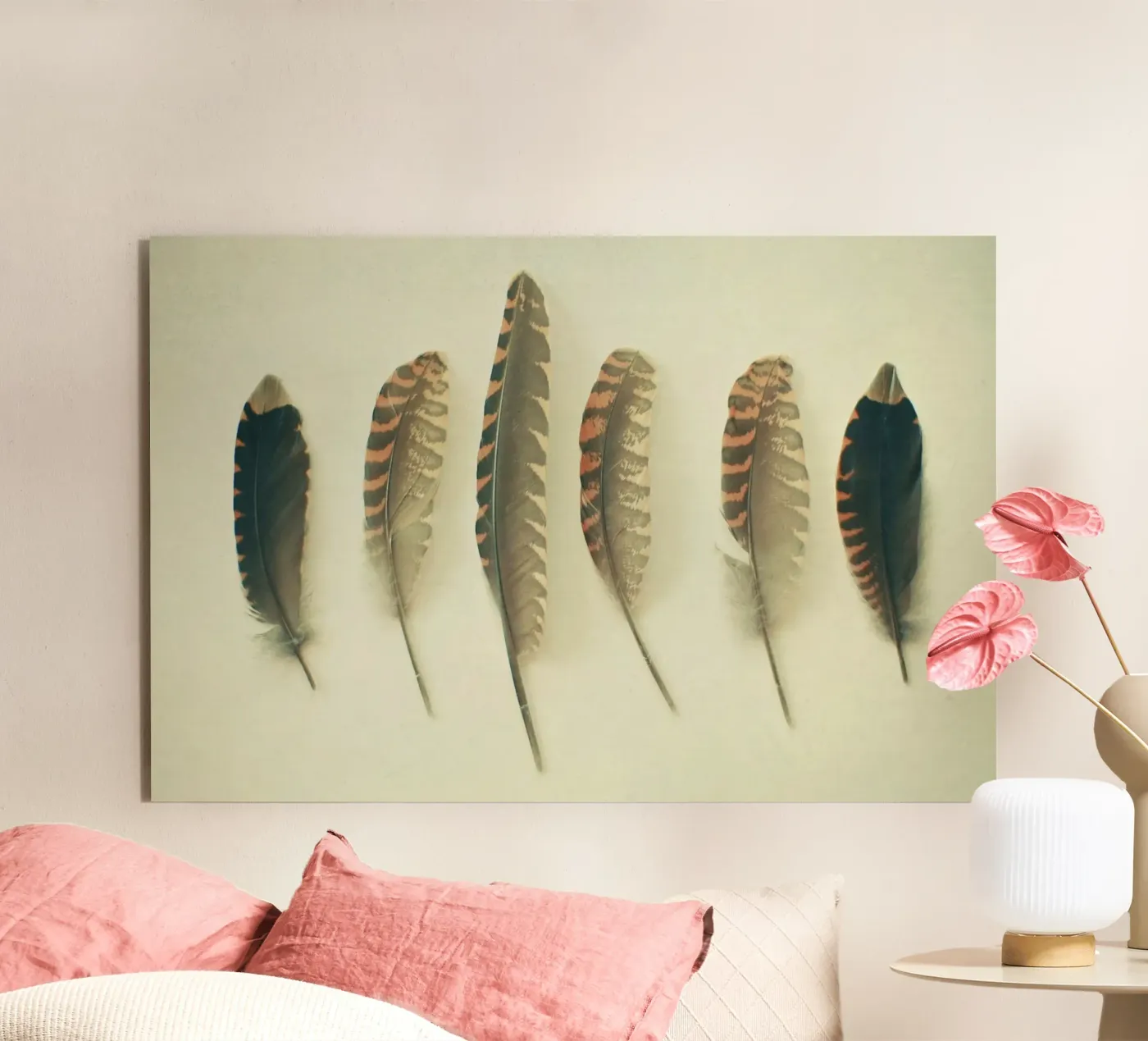 Feathers #2 forex plate by Cassia Beck Photography