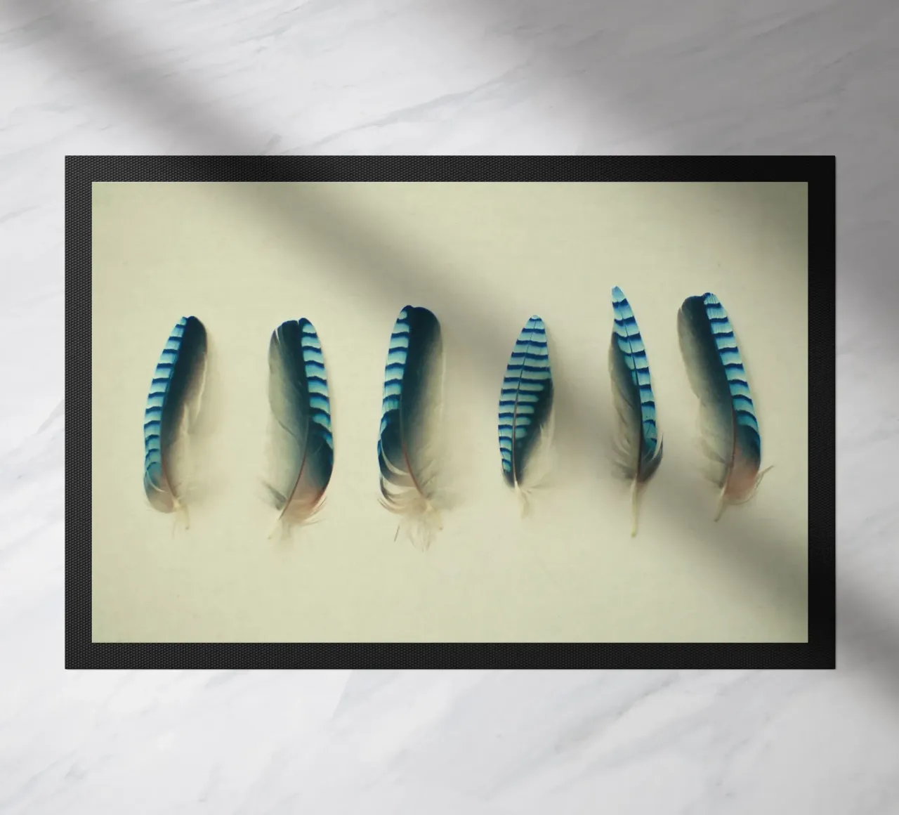 Piume #1 zerbino da Cassia Beck Photography