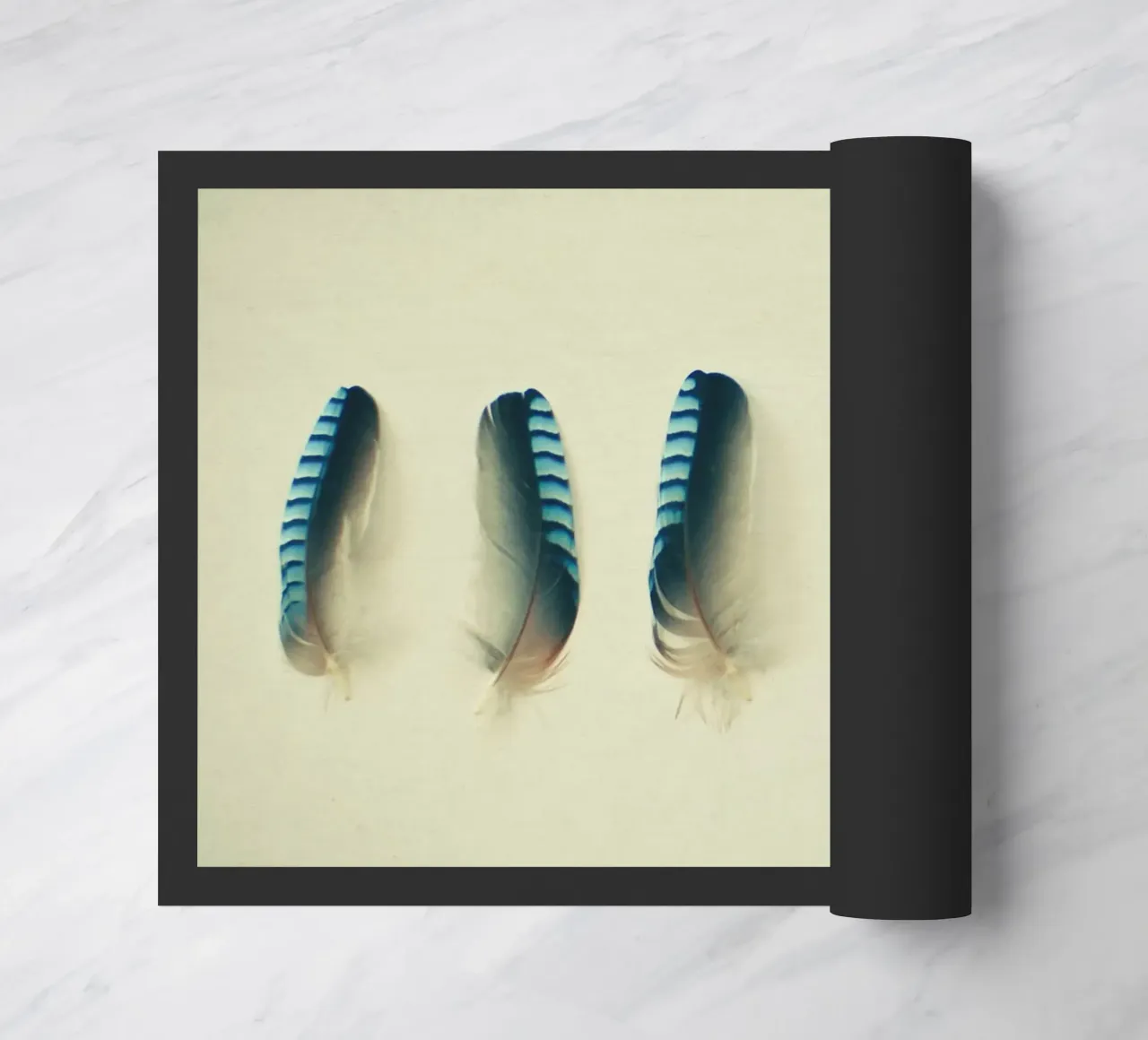 Piume #1 zerbino da Cassia Beck Photography