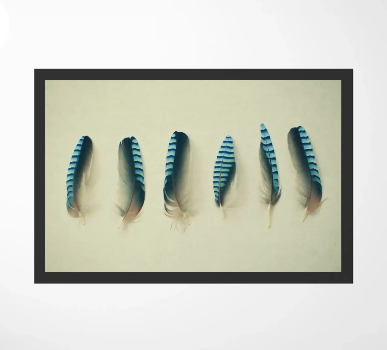 Piume #1 zerbino da Cassia Beck Photography