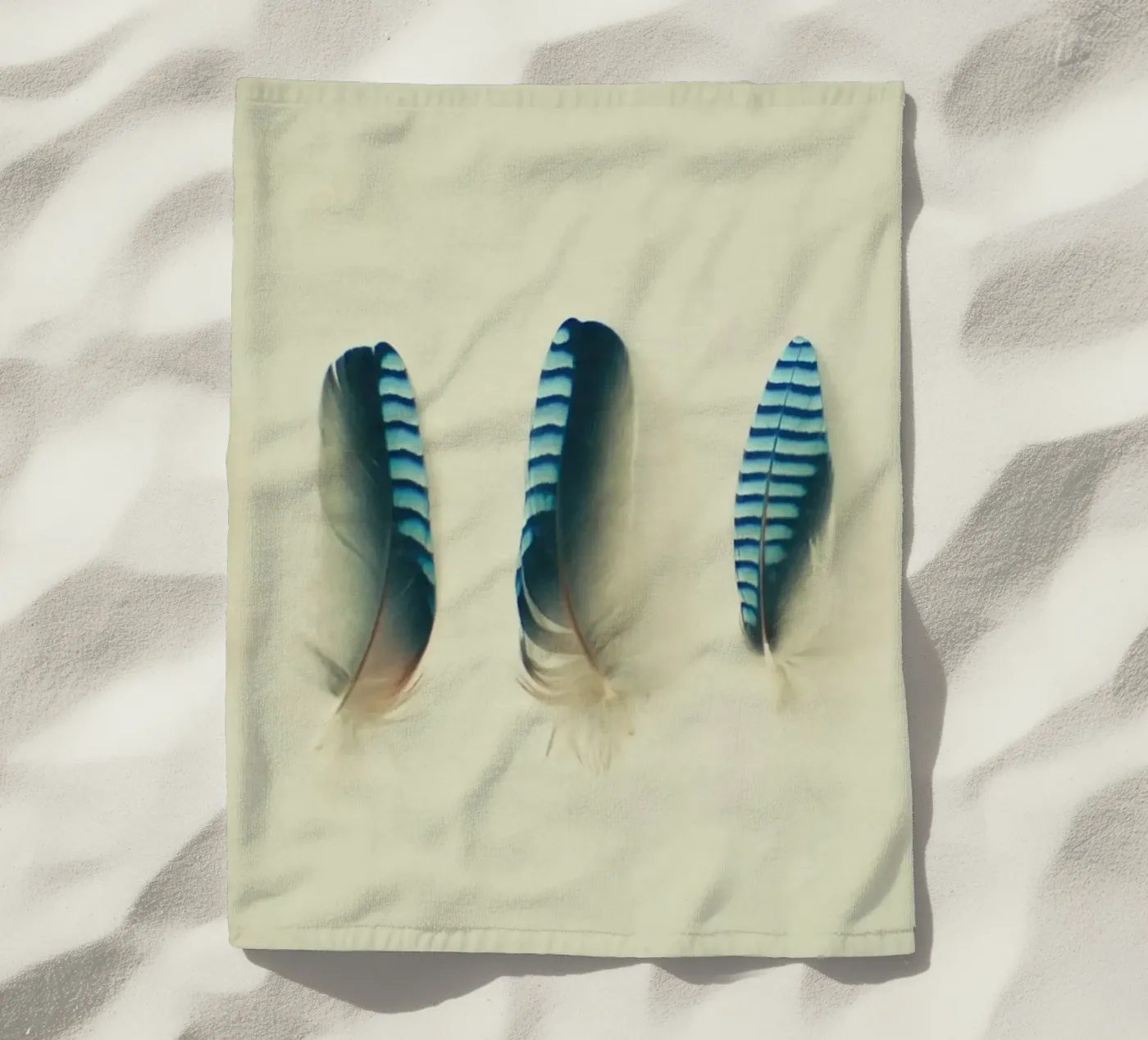 Piume #1 telo mare da Cassia Beck Photography