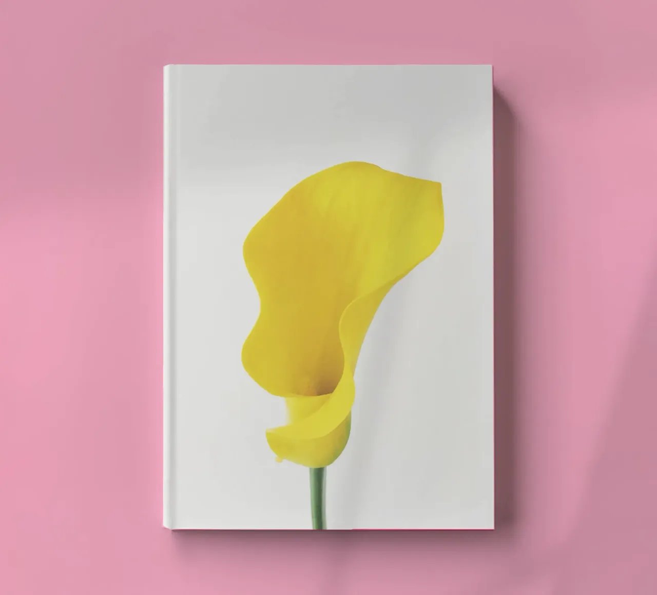 Lys Calla jaune carnet de notes de Cassia Beck Photography