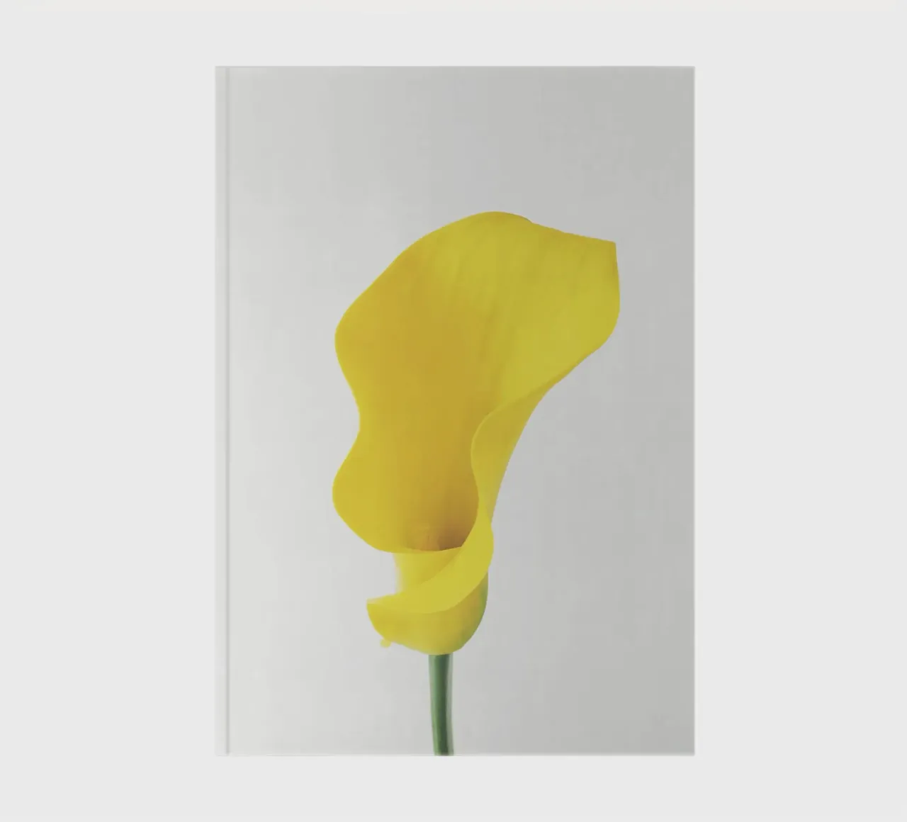Lys Calla jaune carnet de notes de Cassia Beck Photography