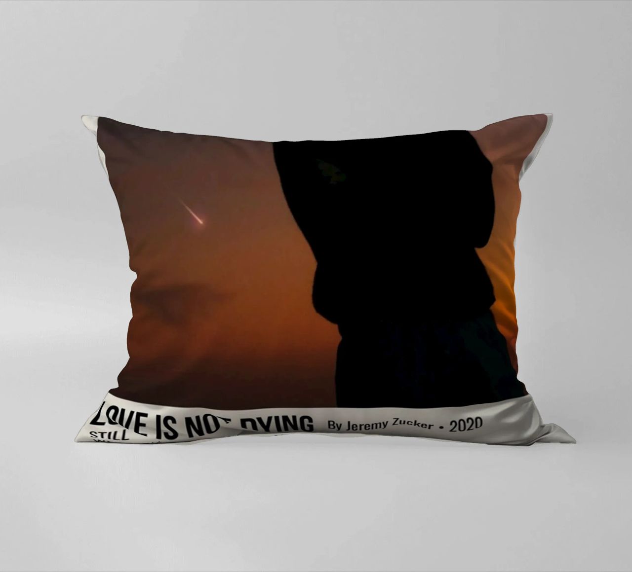 LOVE IS NOT DYING By Jeremy Zucker 2020 cuscino da SoundStudio