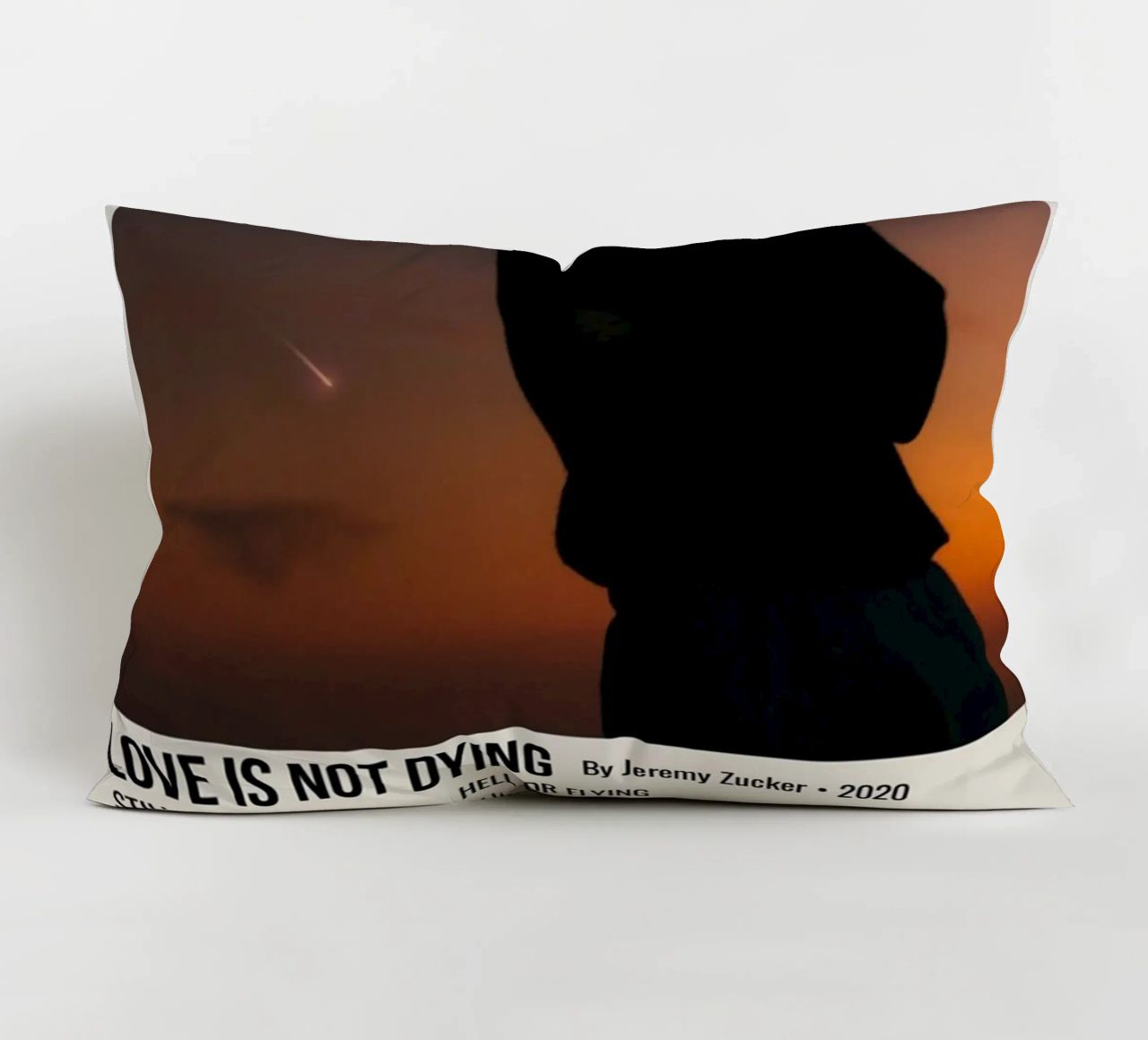 LOVE IS NOT DYING By Jeremy Zucker 2020 cuscino da SoundStudio