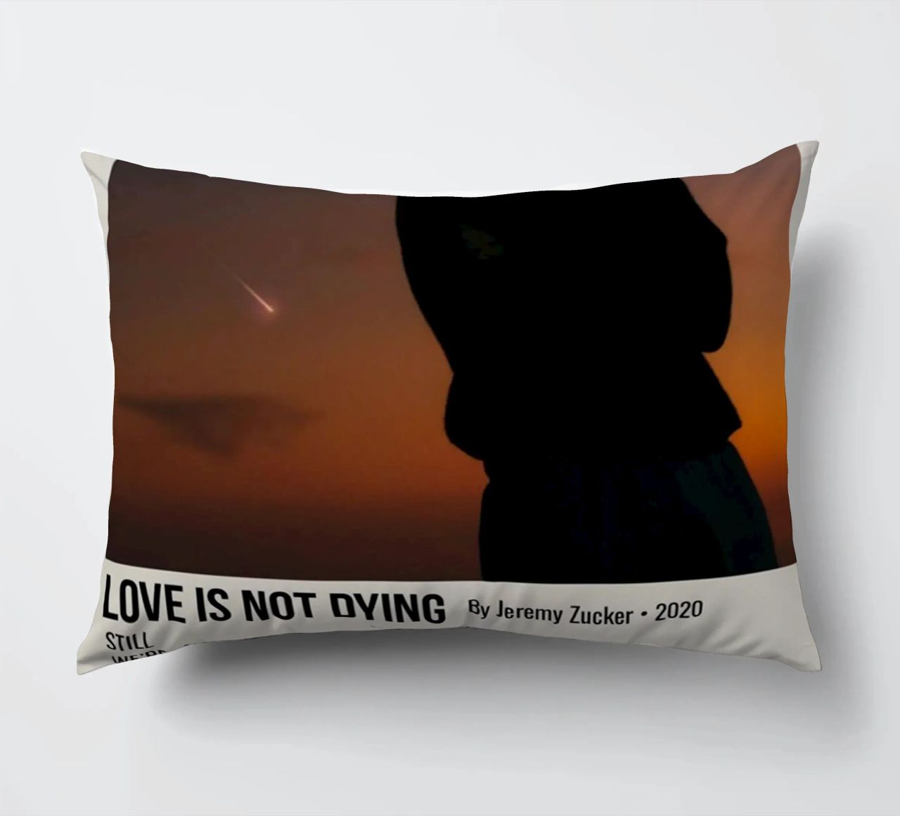 LOVE IS NOT DYING By Jeremy Zucker 2020 cuscino da SoundStudio
