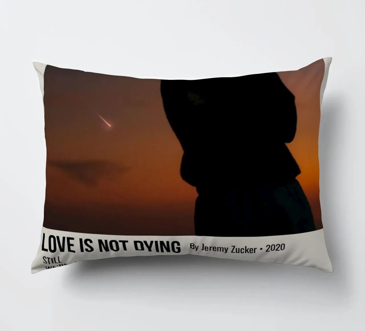 LOVE IS NOT DYING By Jeremy Zucker 2020 Kissen von SoundStudio