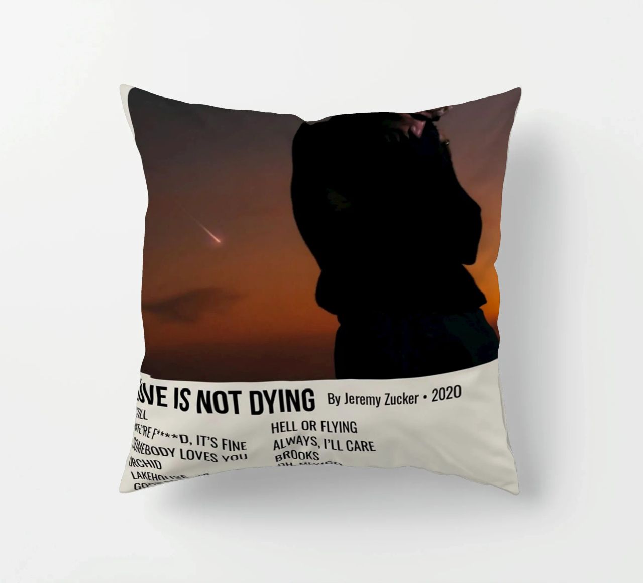 LOVE IS NOT DYING By Jeremy Zucker 2020 cuscino da SoundStudio