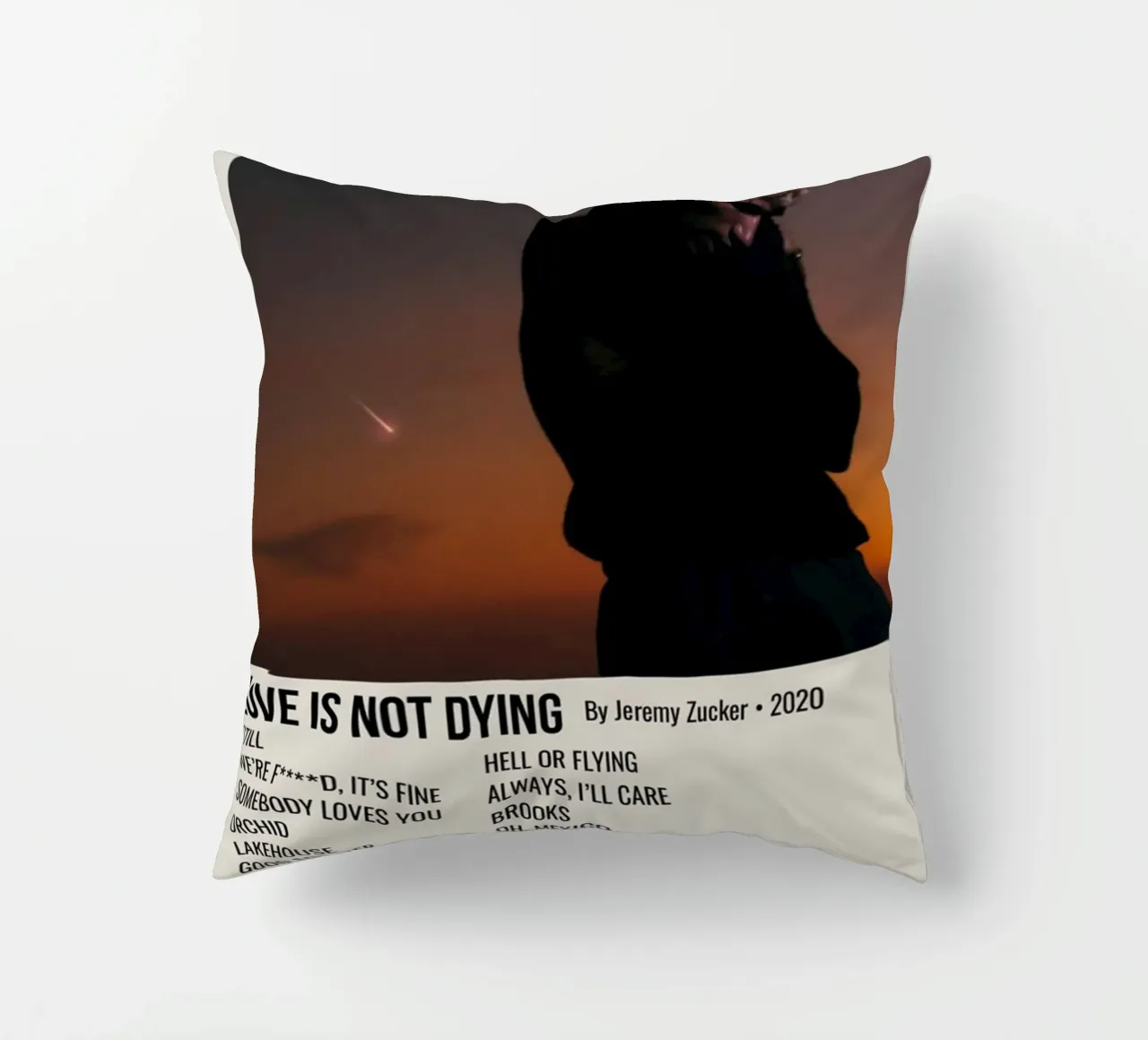 LOVE IS NOT DYING By Jeremy Zucker 2020 cuscino da SoundStudio