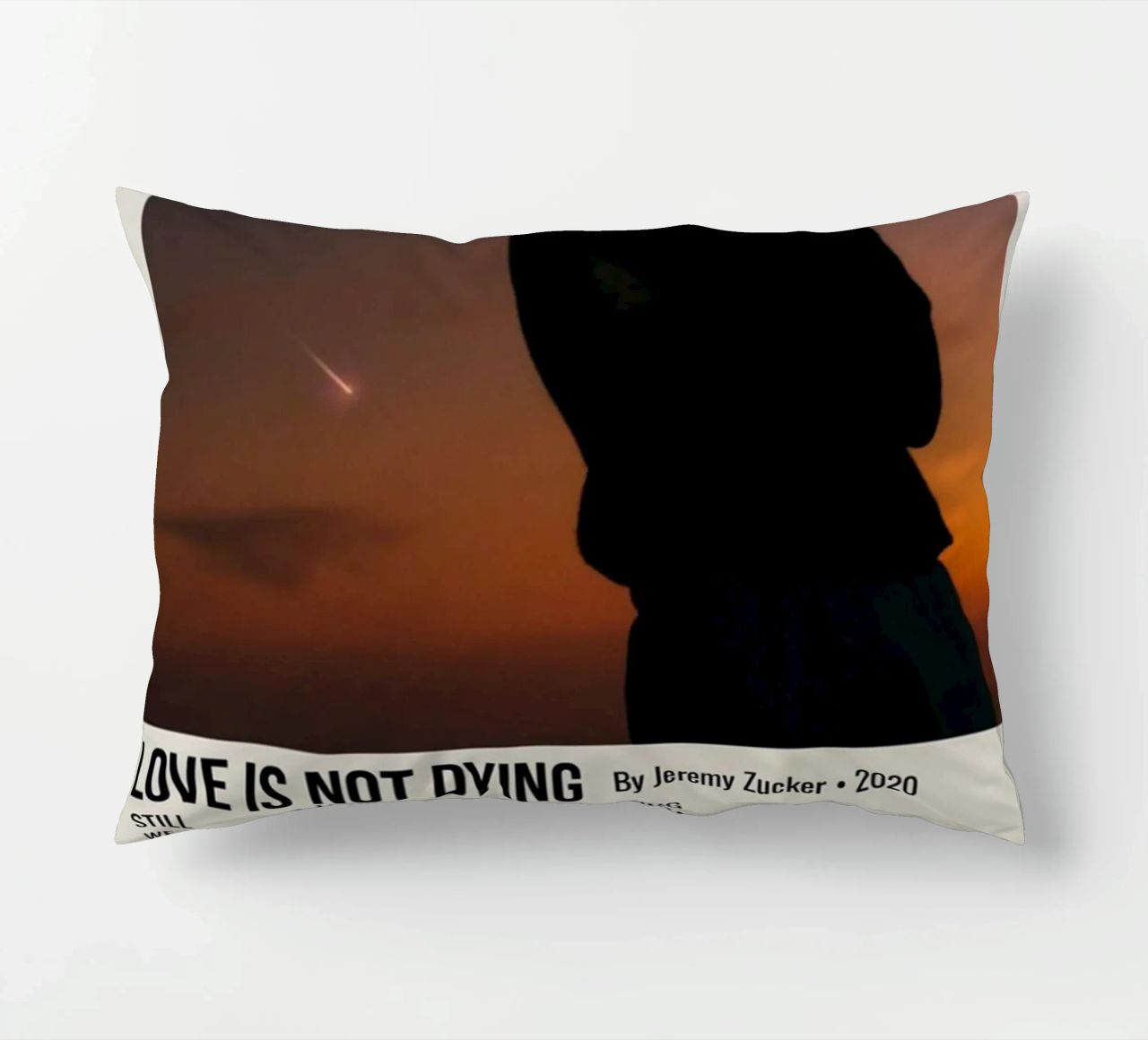 LOVE IS NOT DYING By Jeremy Zucker 2020 cuscino da SoundStudio