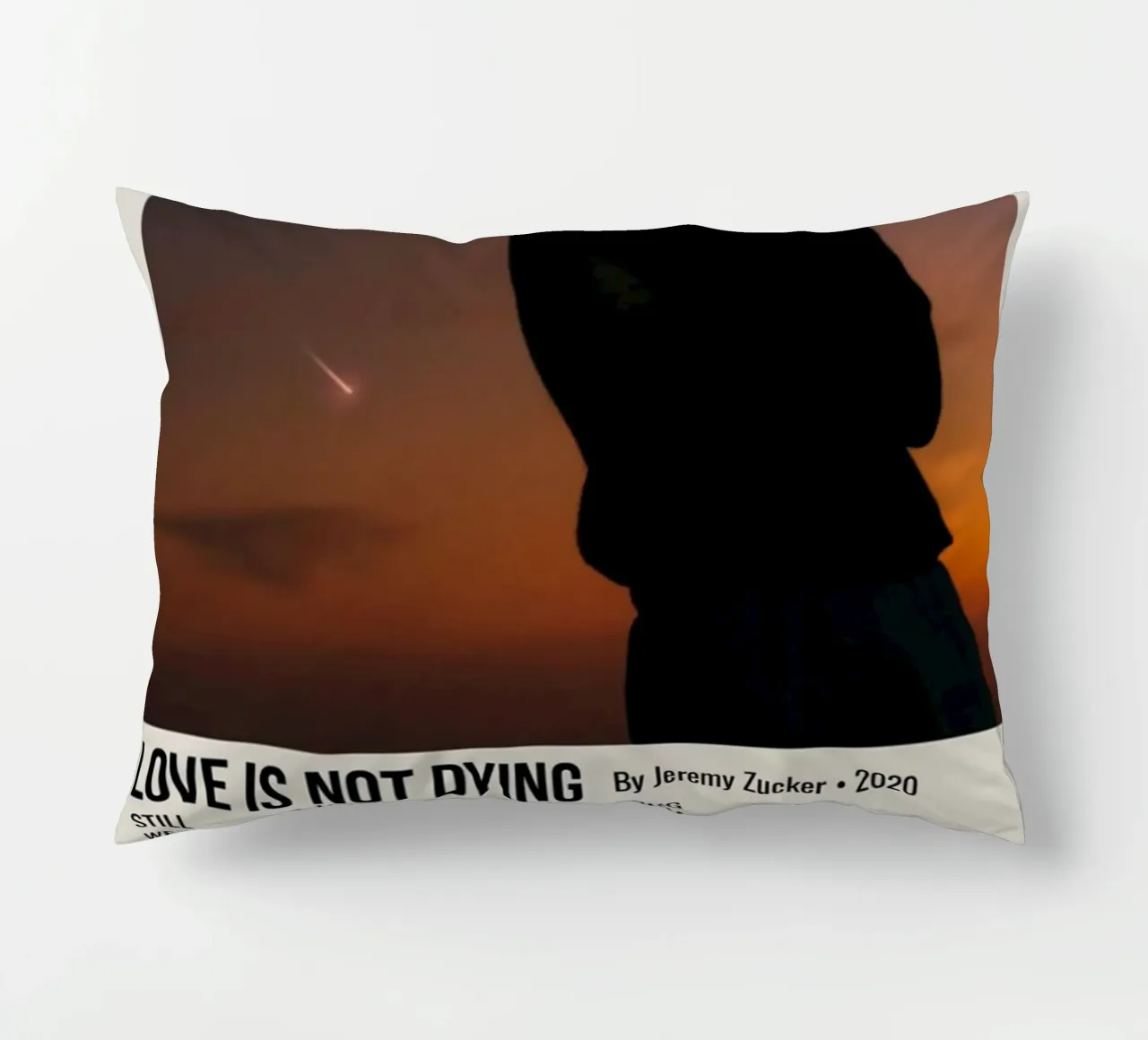 LOVE IS NOT DYING By Jeremy Zucker 2020 cuscino da SoundStudio