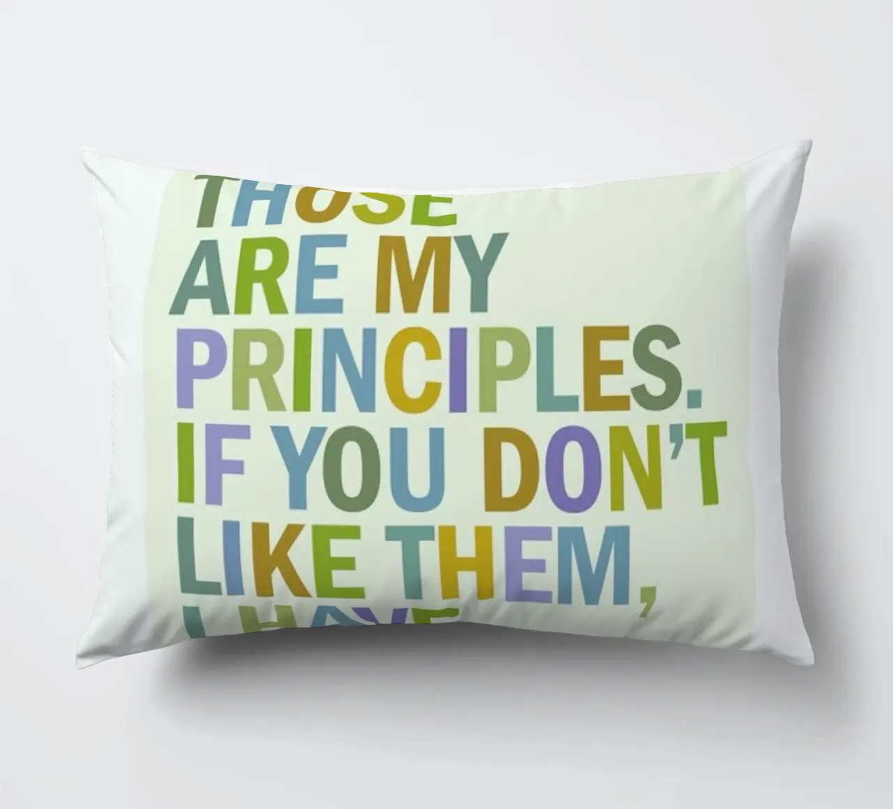 Groucho Principles cuscino da Visual Philosophy