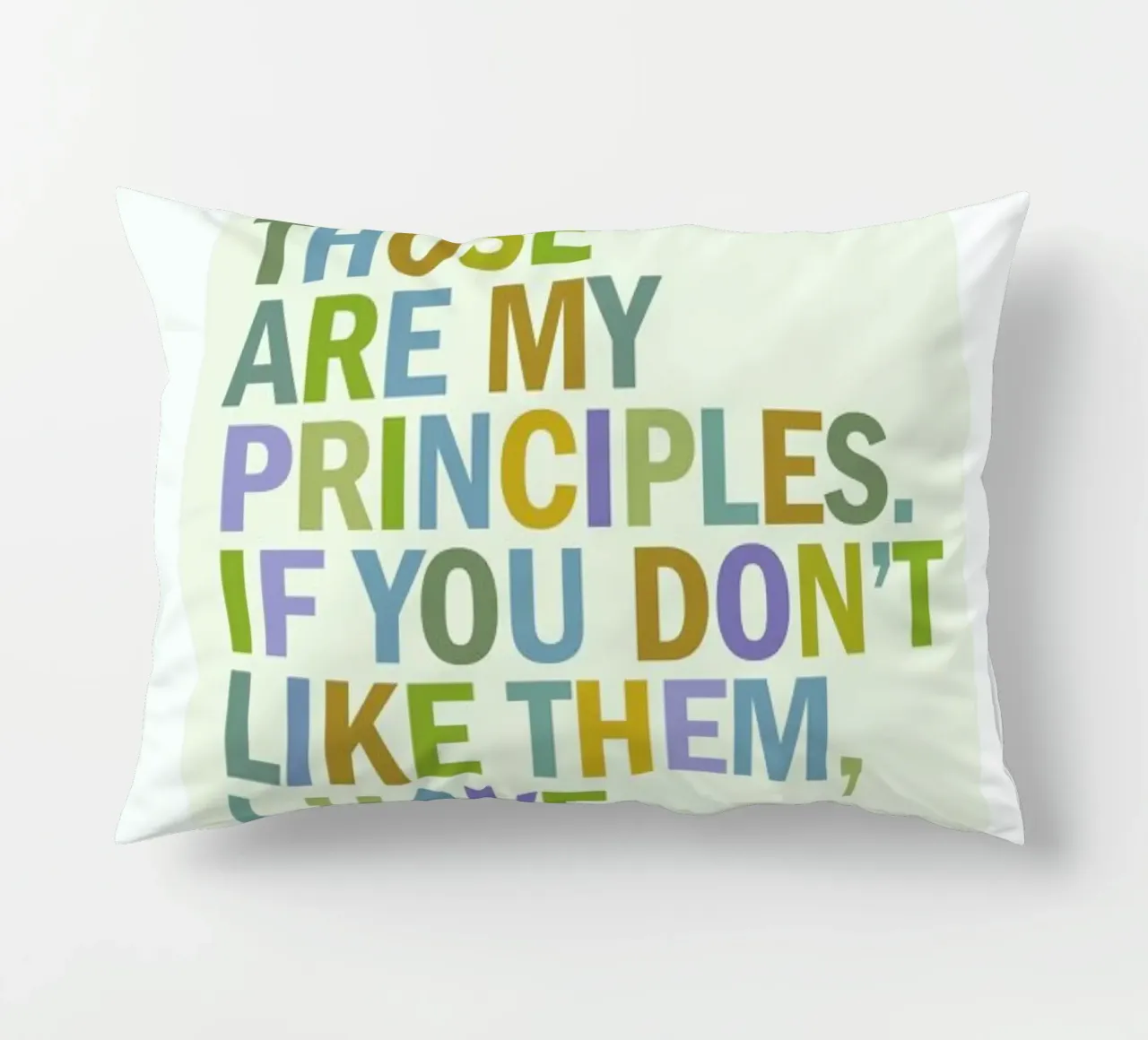 Groucho Principles cuscino da Visual Philosophy