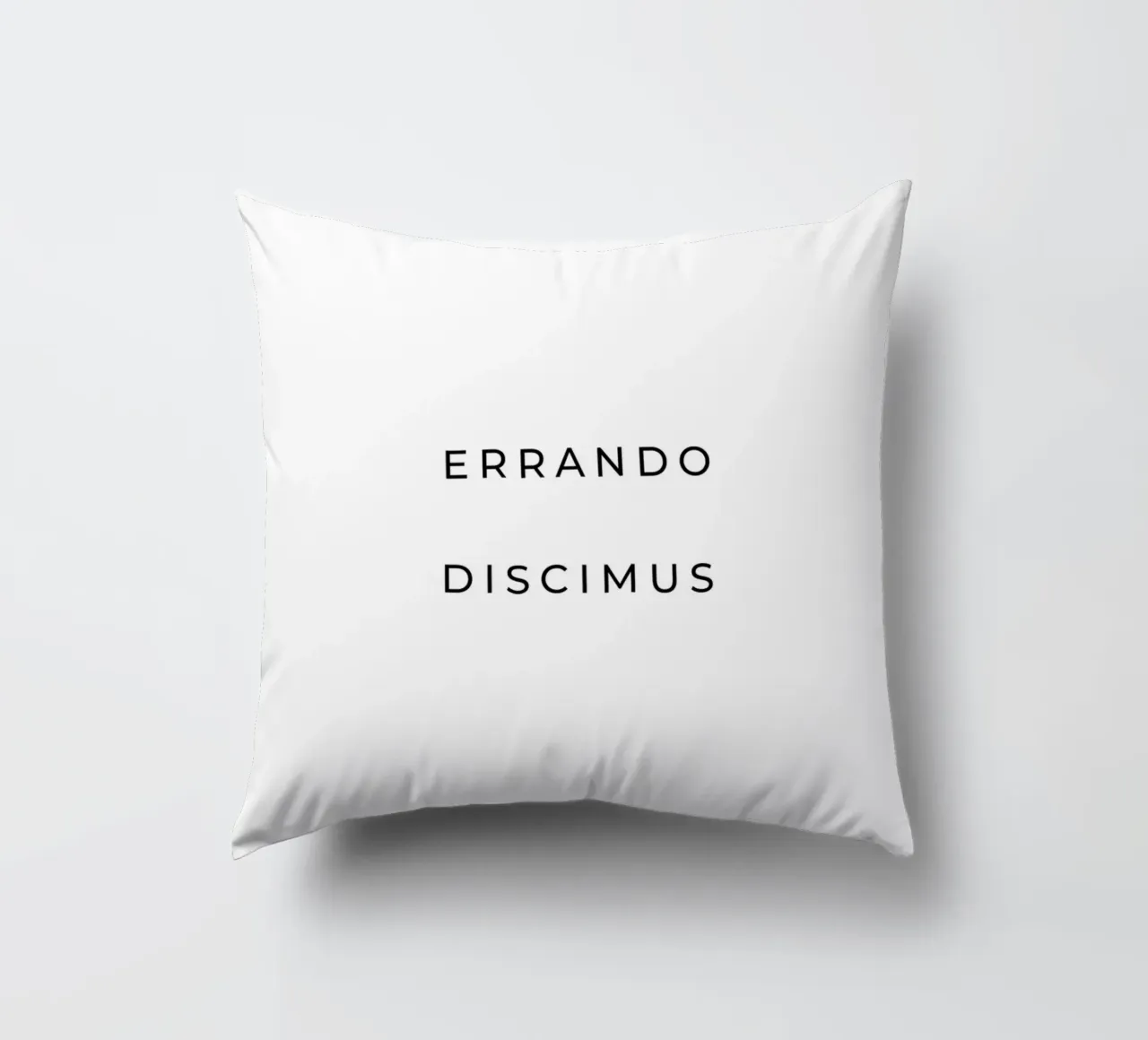 Errando discimus - By making mistakes we learn quote decorative cushion by Paigaam Studio