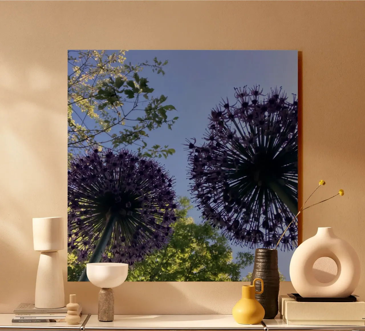 Allium blossom in early summer acrylic glass by Art Studio by Iris