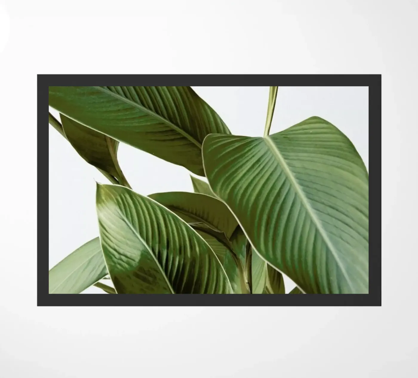 Leaves deurmat van Laura Palm