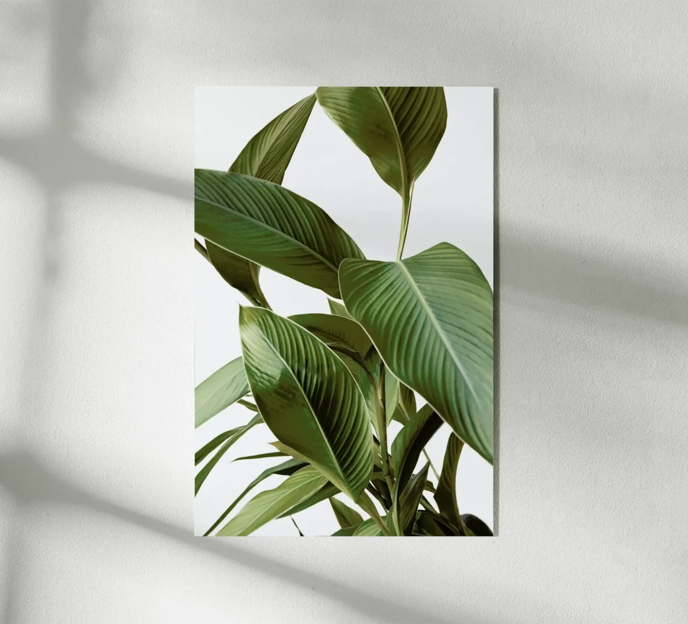 Leaves plexiglass da Laura Palm