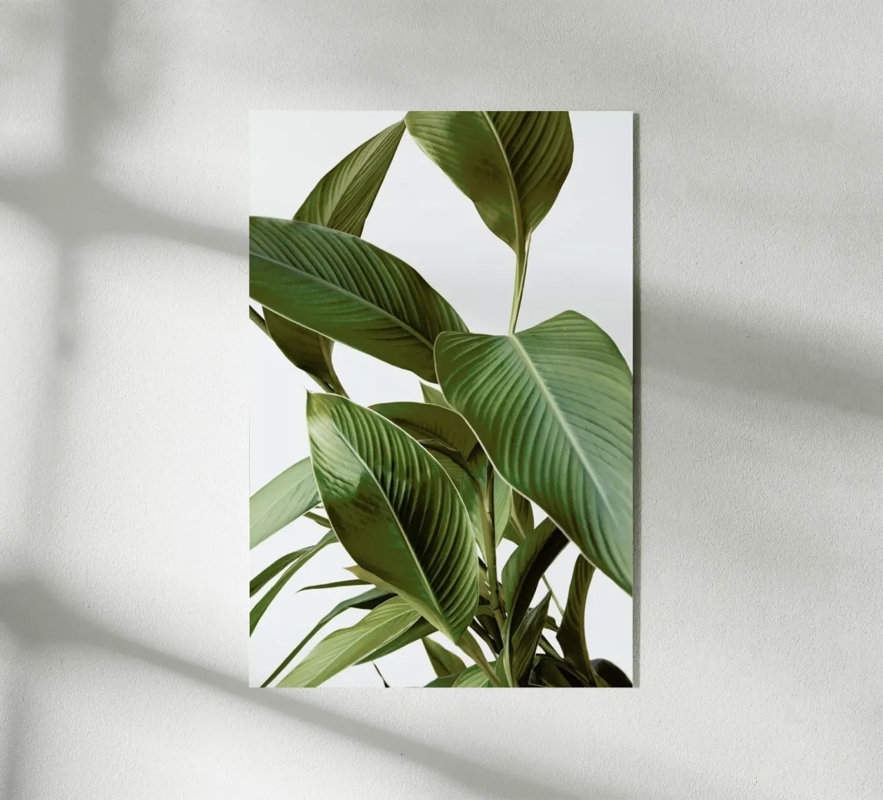 Leaves plexiglass da Laura Palm