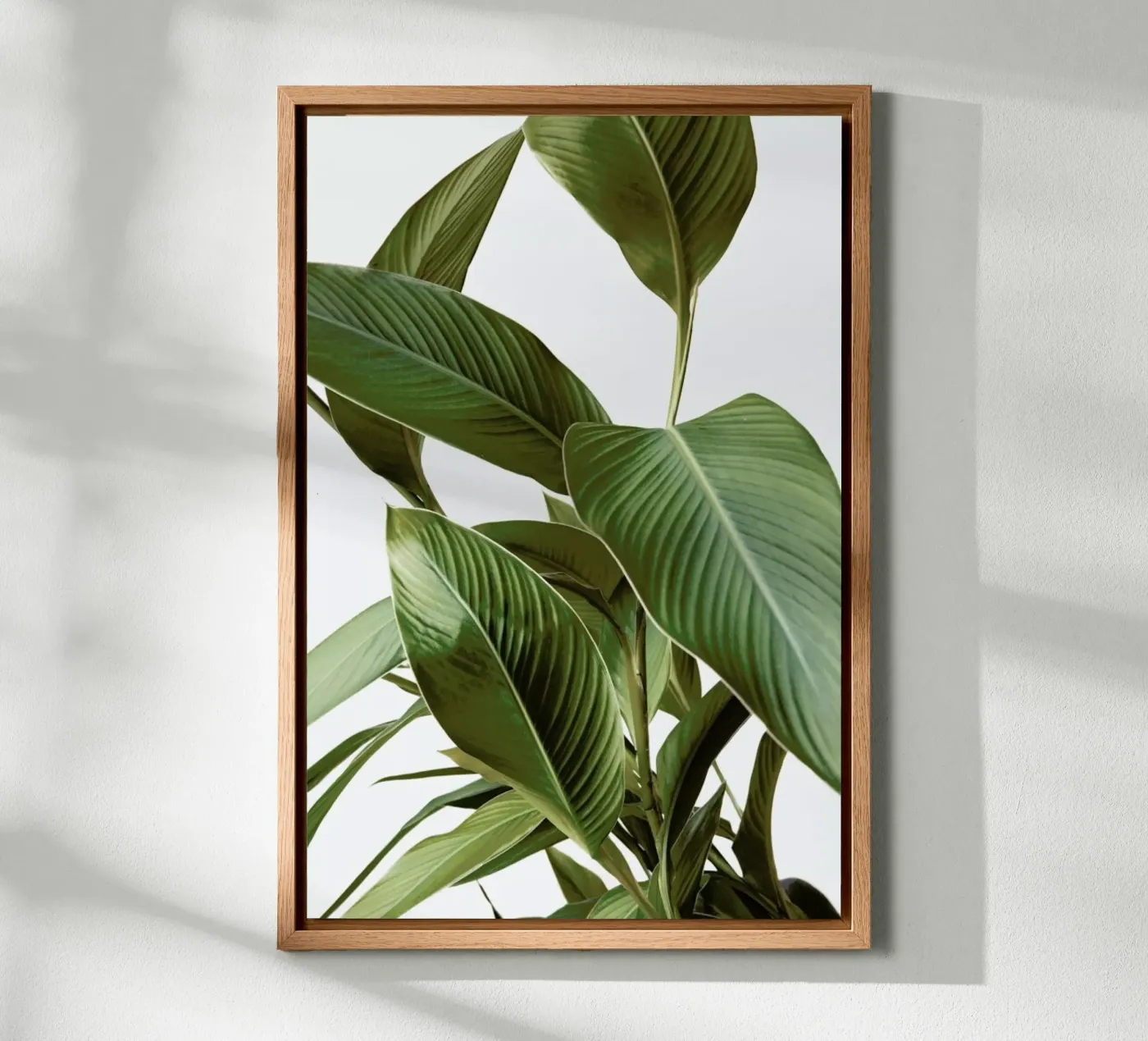 Leaves pannello forex da Laura Palm