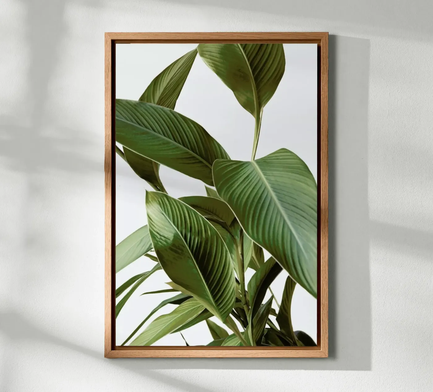 Leaves pannello forex da Laura Palm