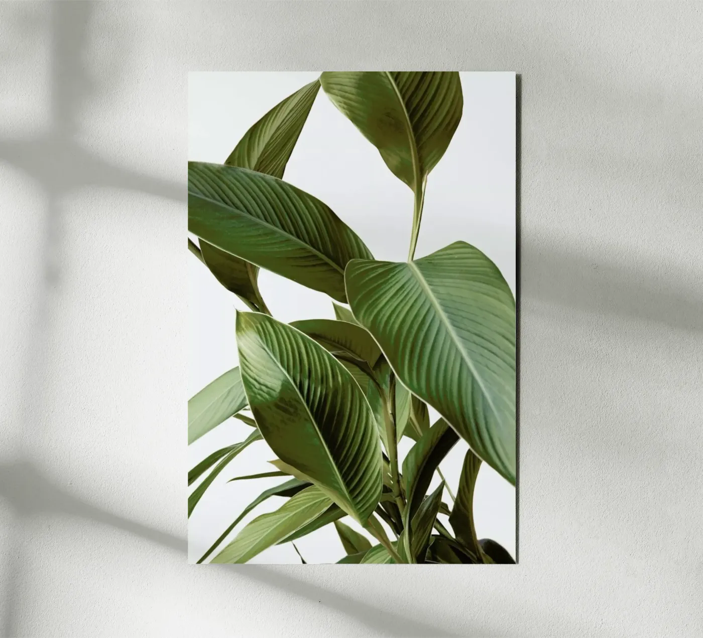 Leaves pannello forex da Laura Palm