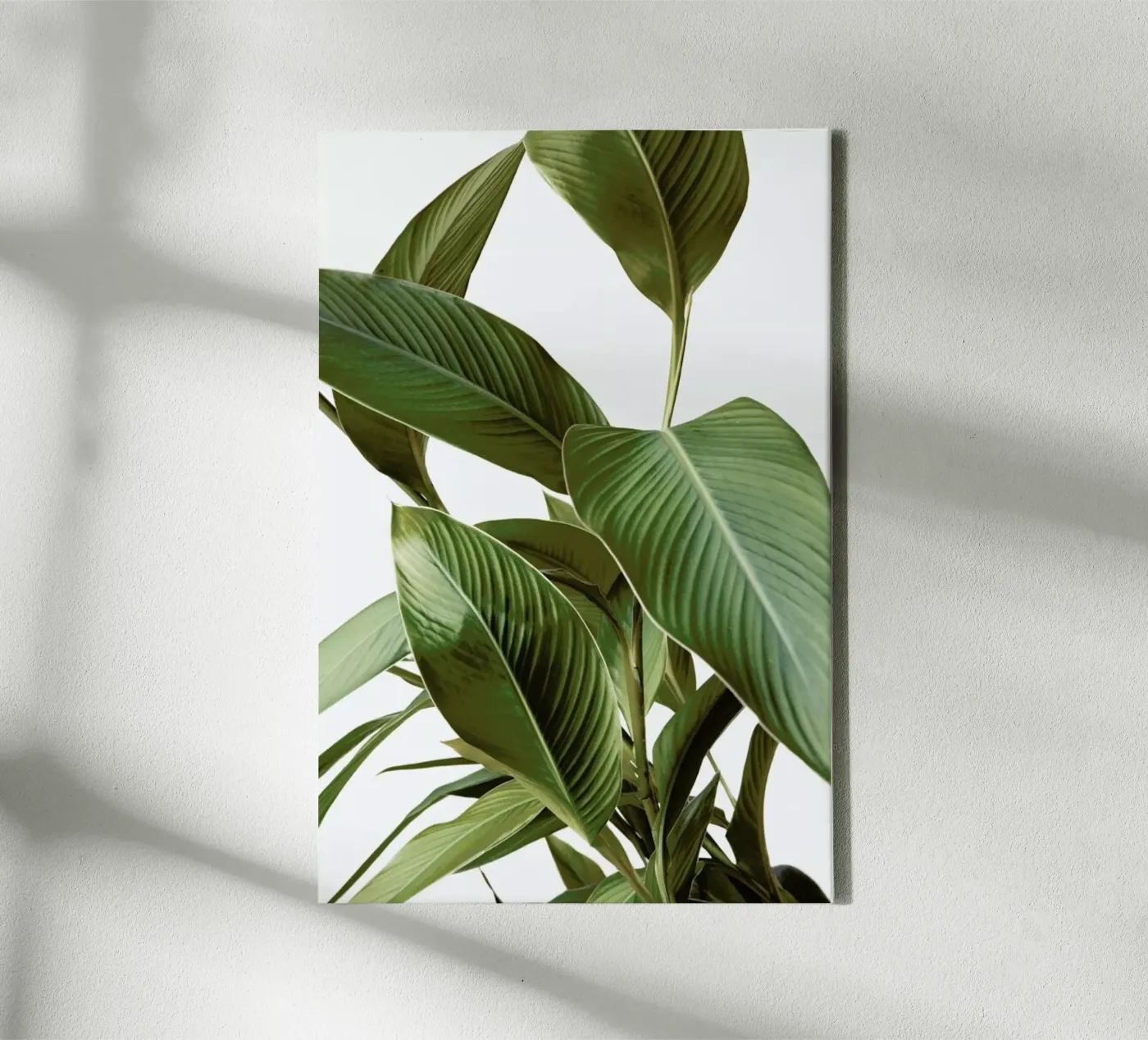 Leaves tela da Laura Palm