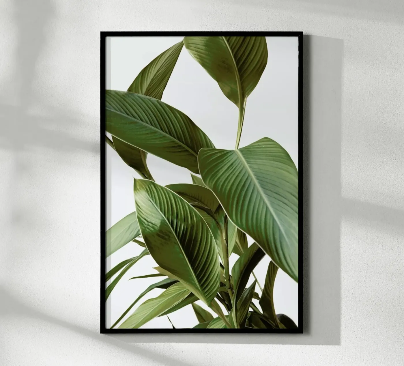 Leaves poster van Laura Palm