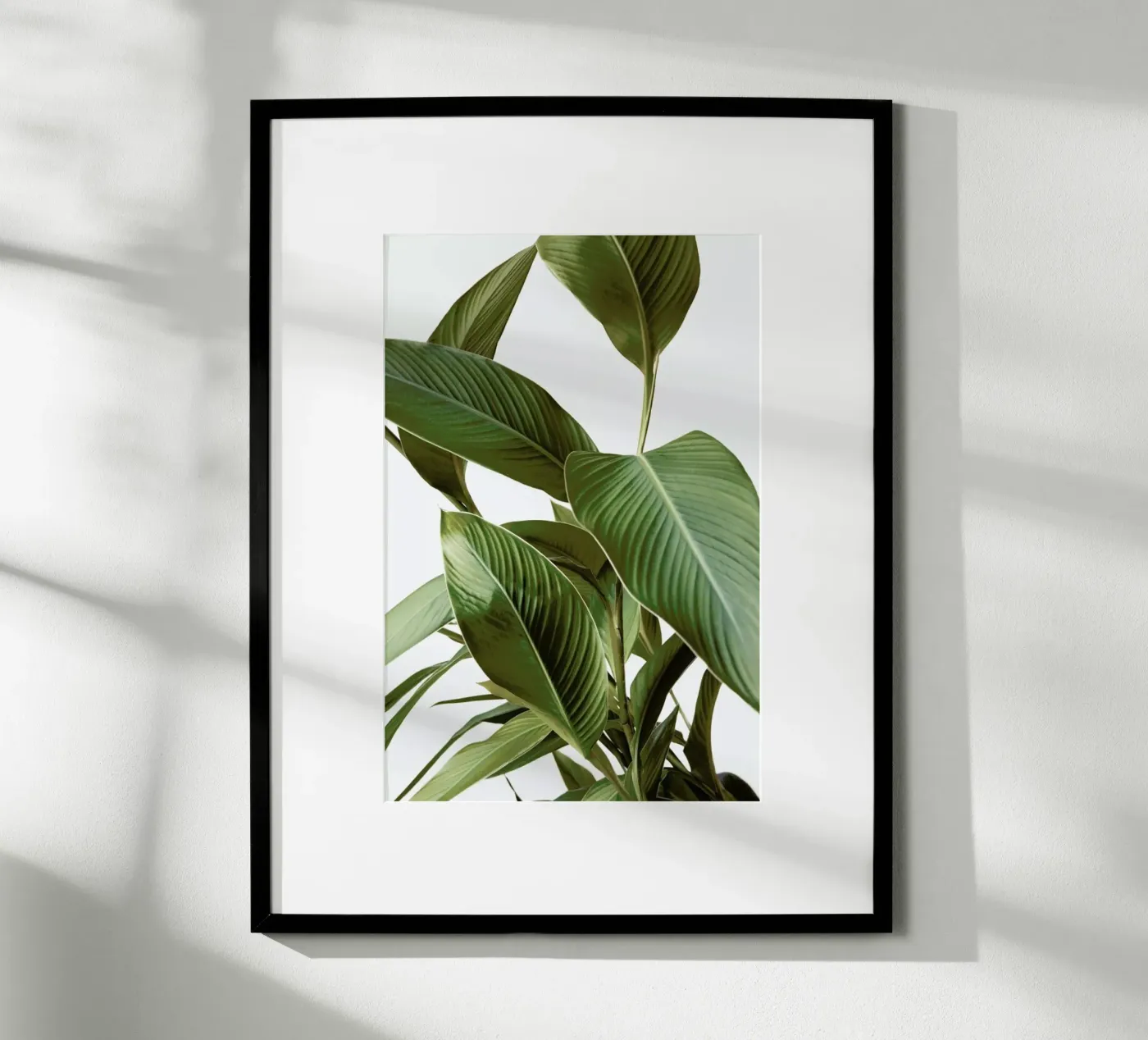 Leaves poster van Laura Palm