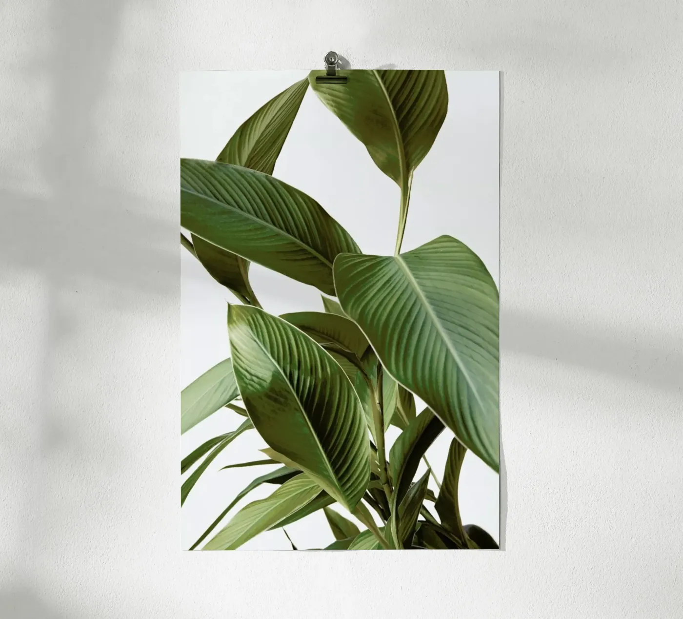 Leaves poster van Laura Palm