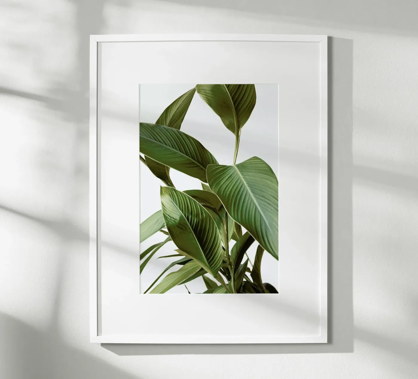 Leaves poster da Laura Palm