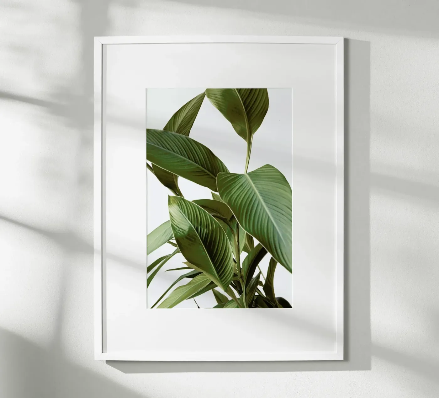 Leaves poster van Laura Palm