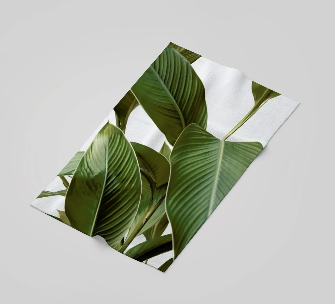 Leaves telo mare da Laura Palm