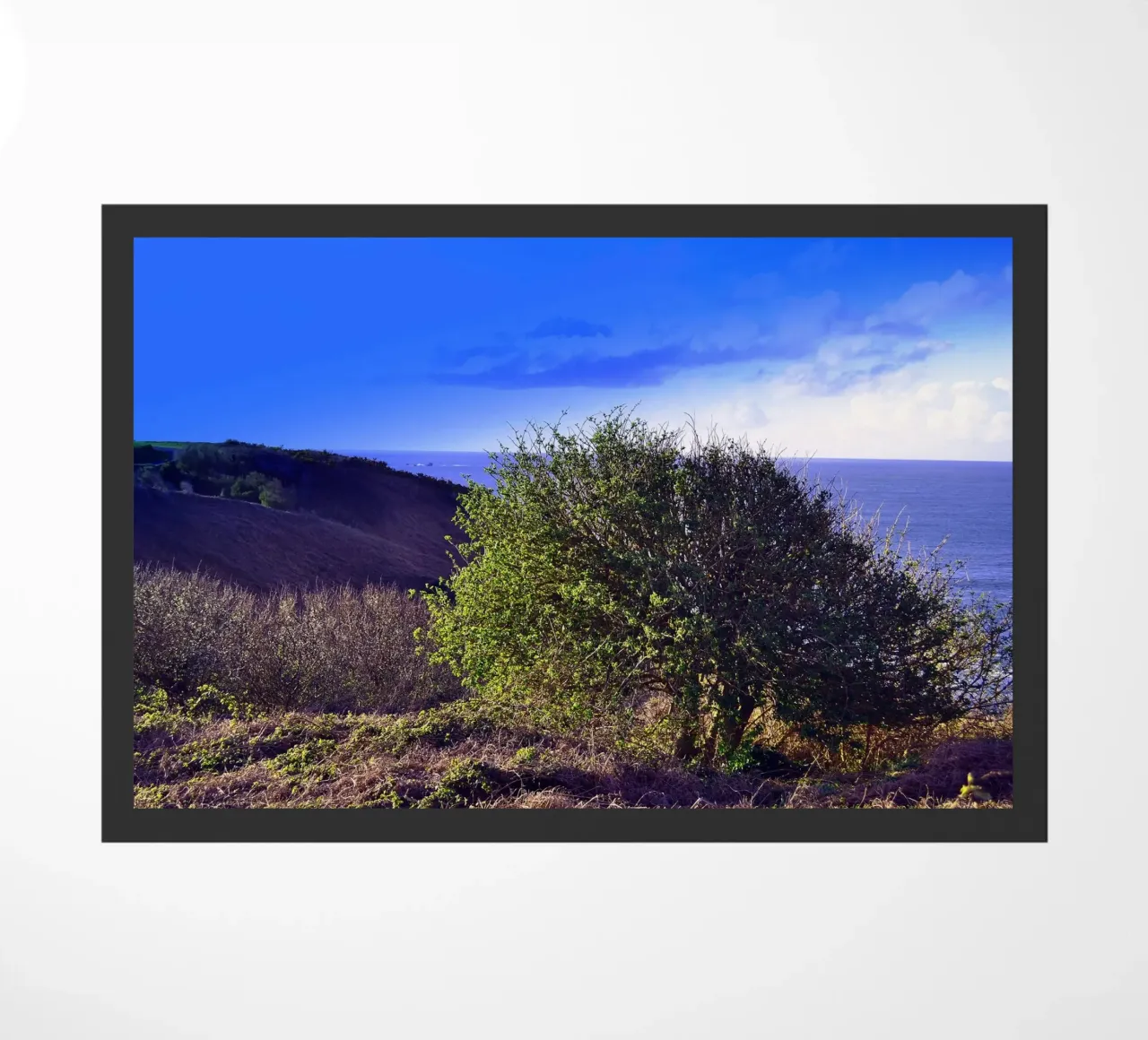 FAA155 doormat by Thierry vobmann photography