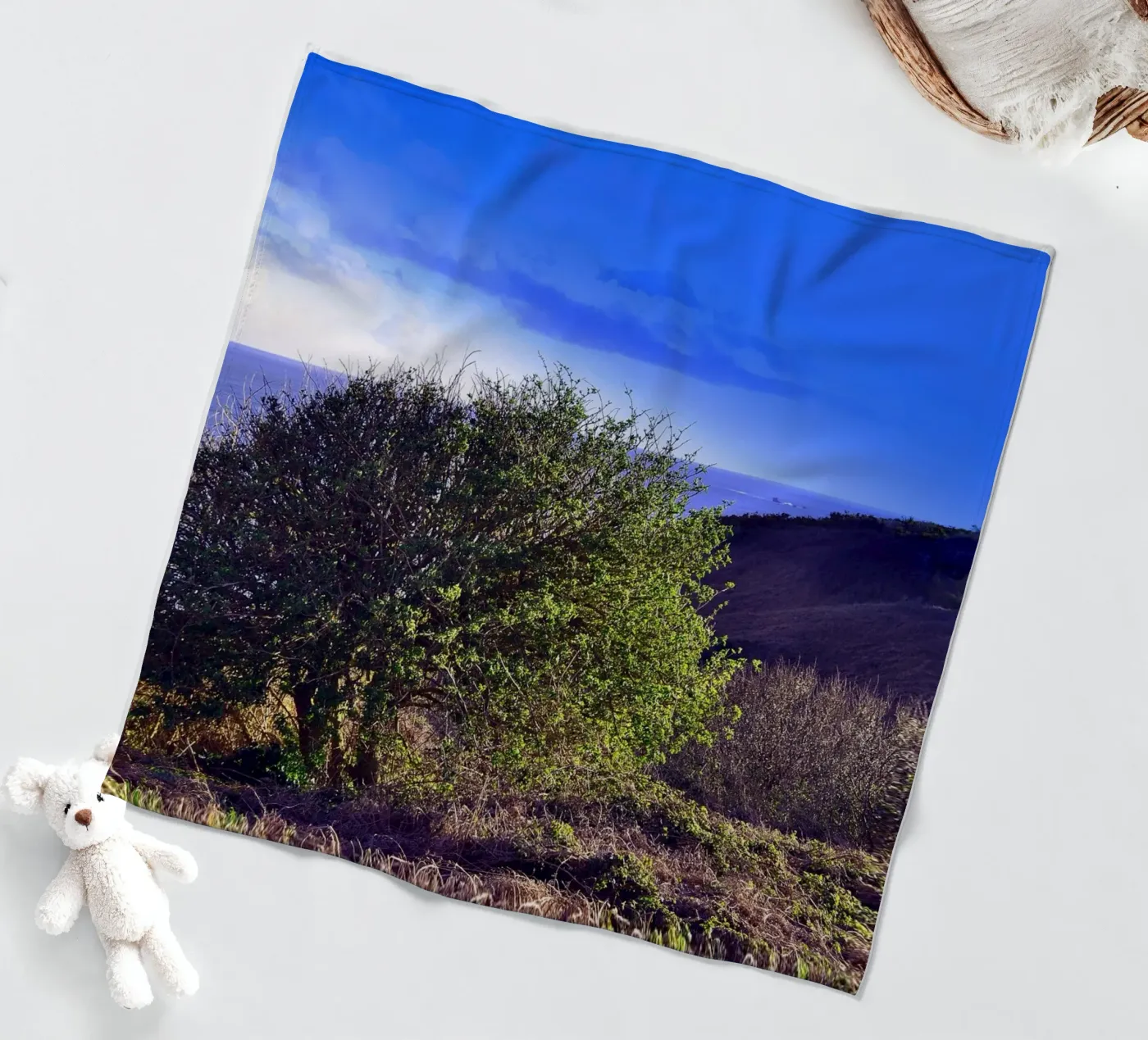 FAA155 fleecedeken van Thierry vobmann photography